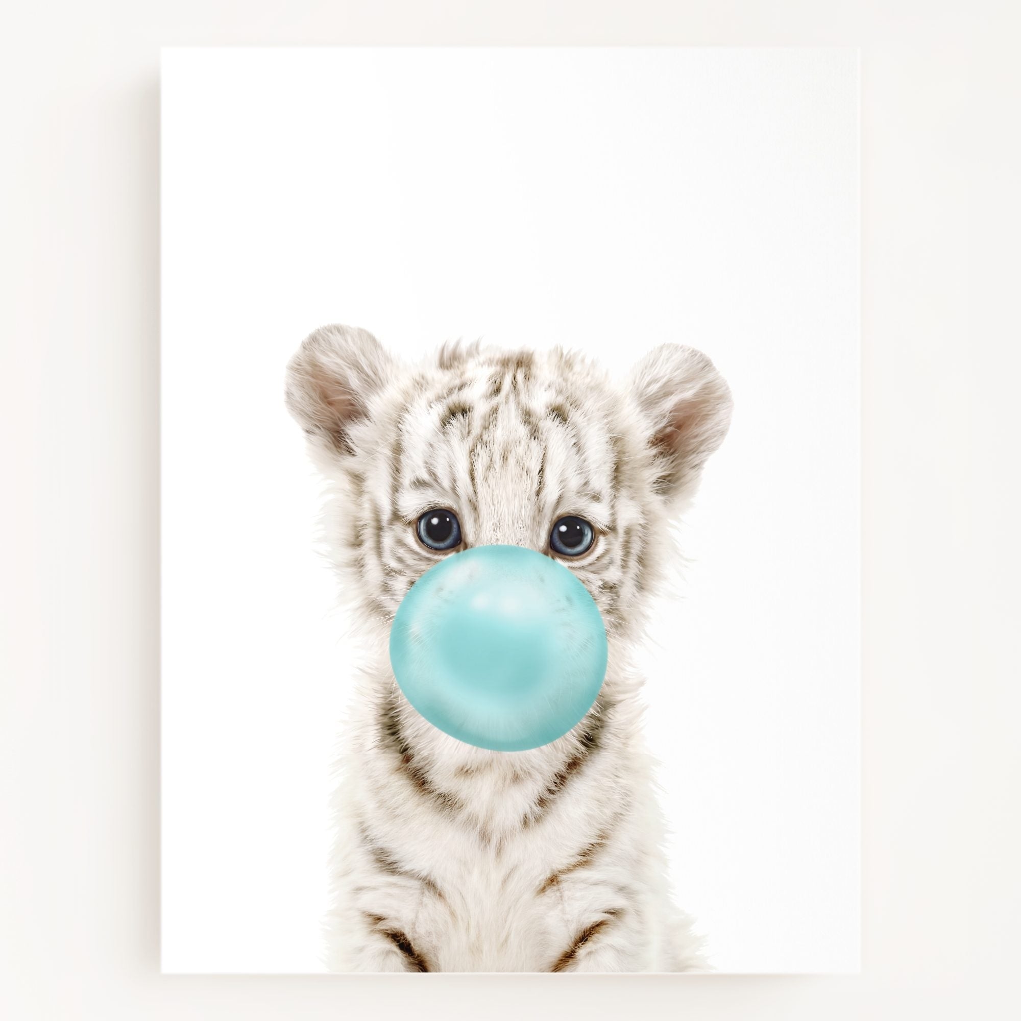 Baby White Tiger