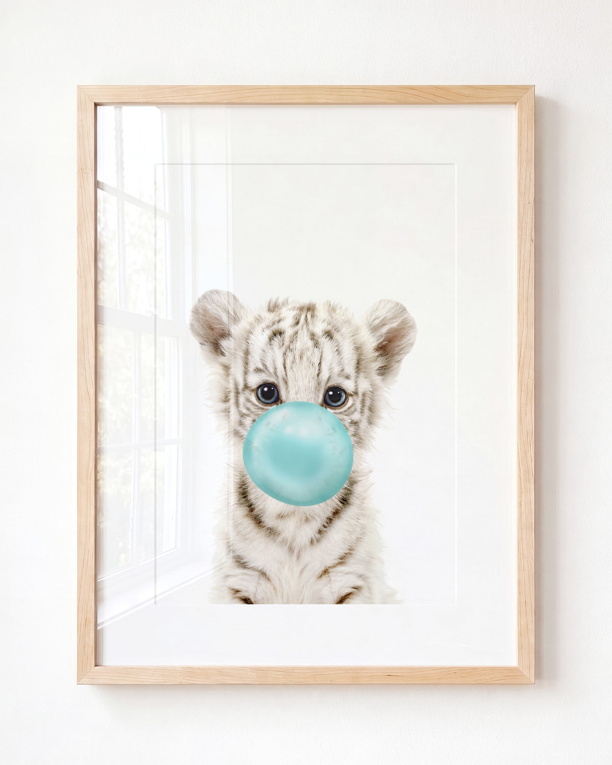 Baby White Tiger