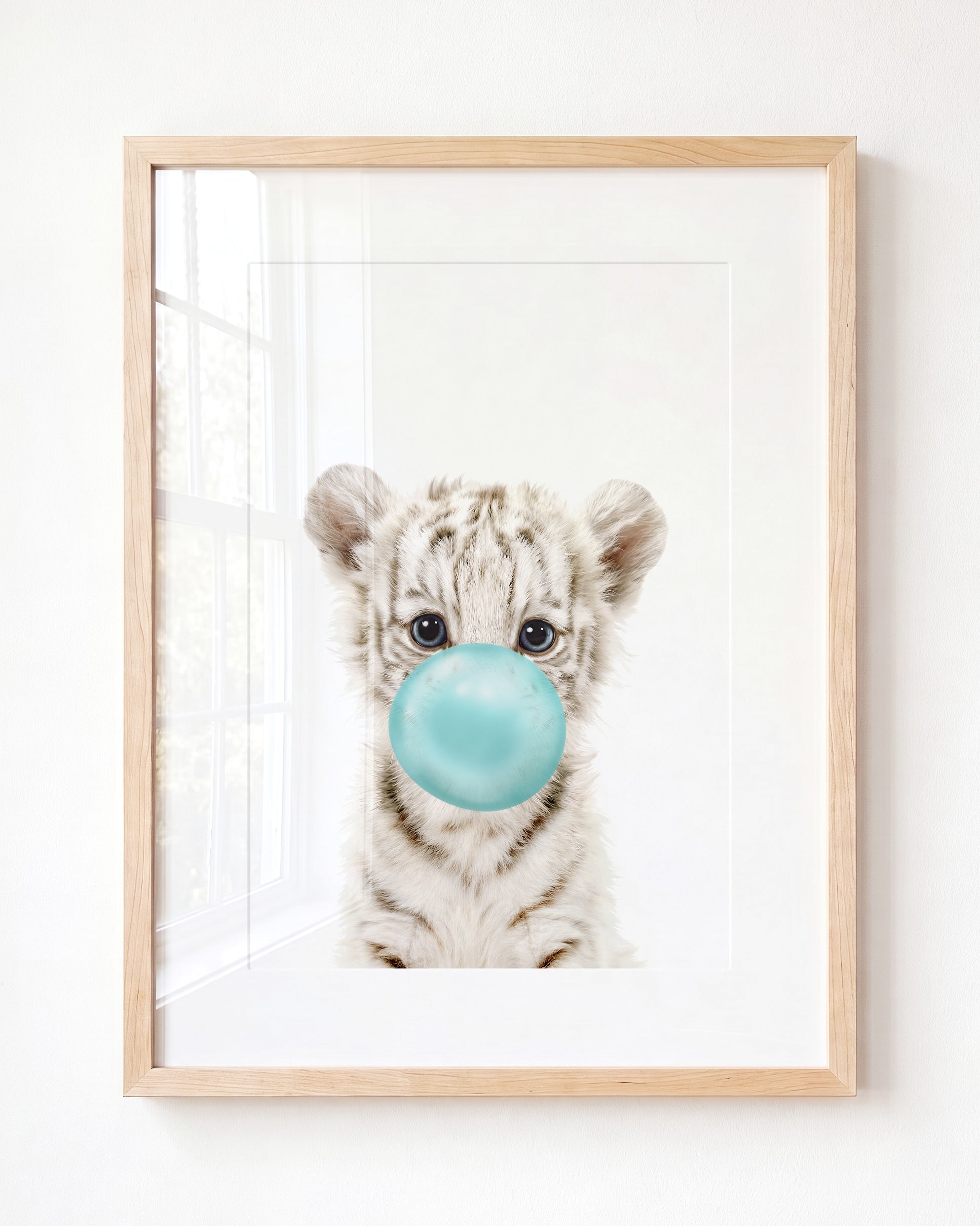 Baby White Tiger