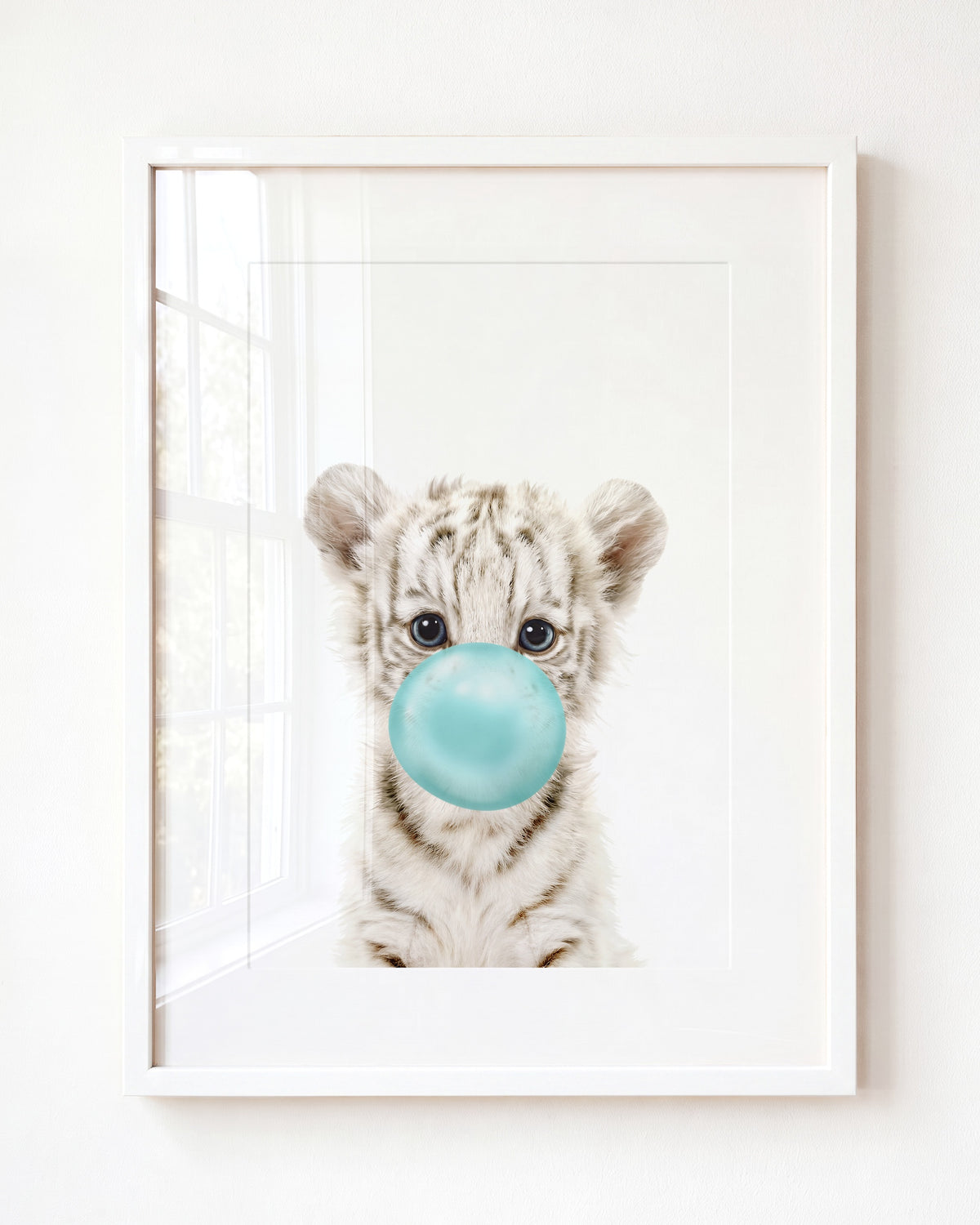 Baby White Tiger