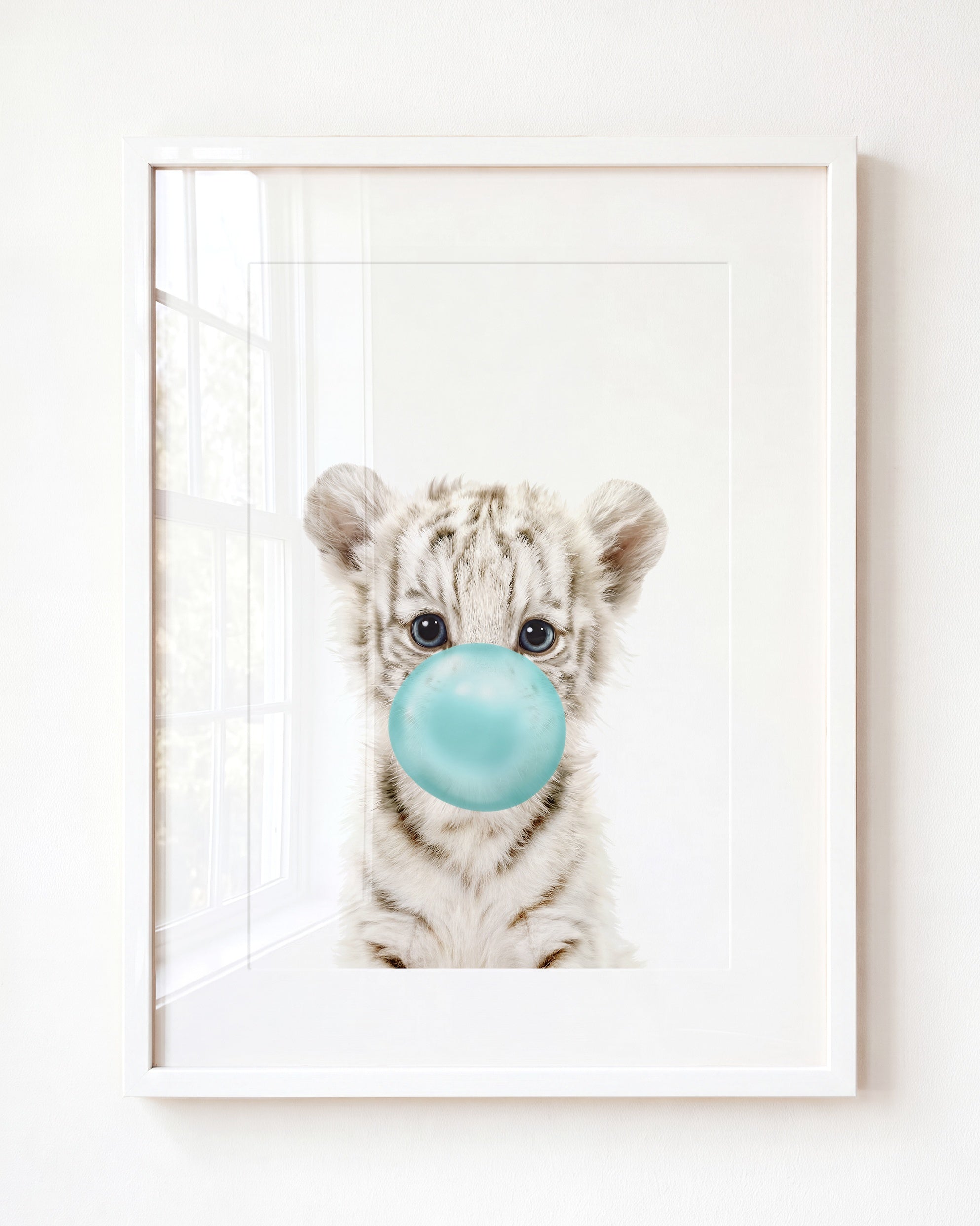 Baby White Tiger