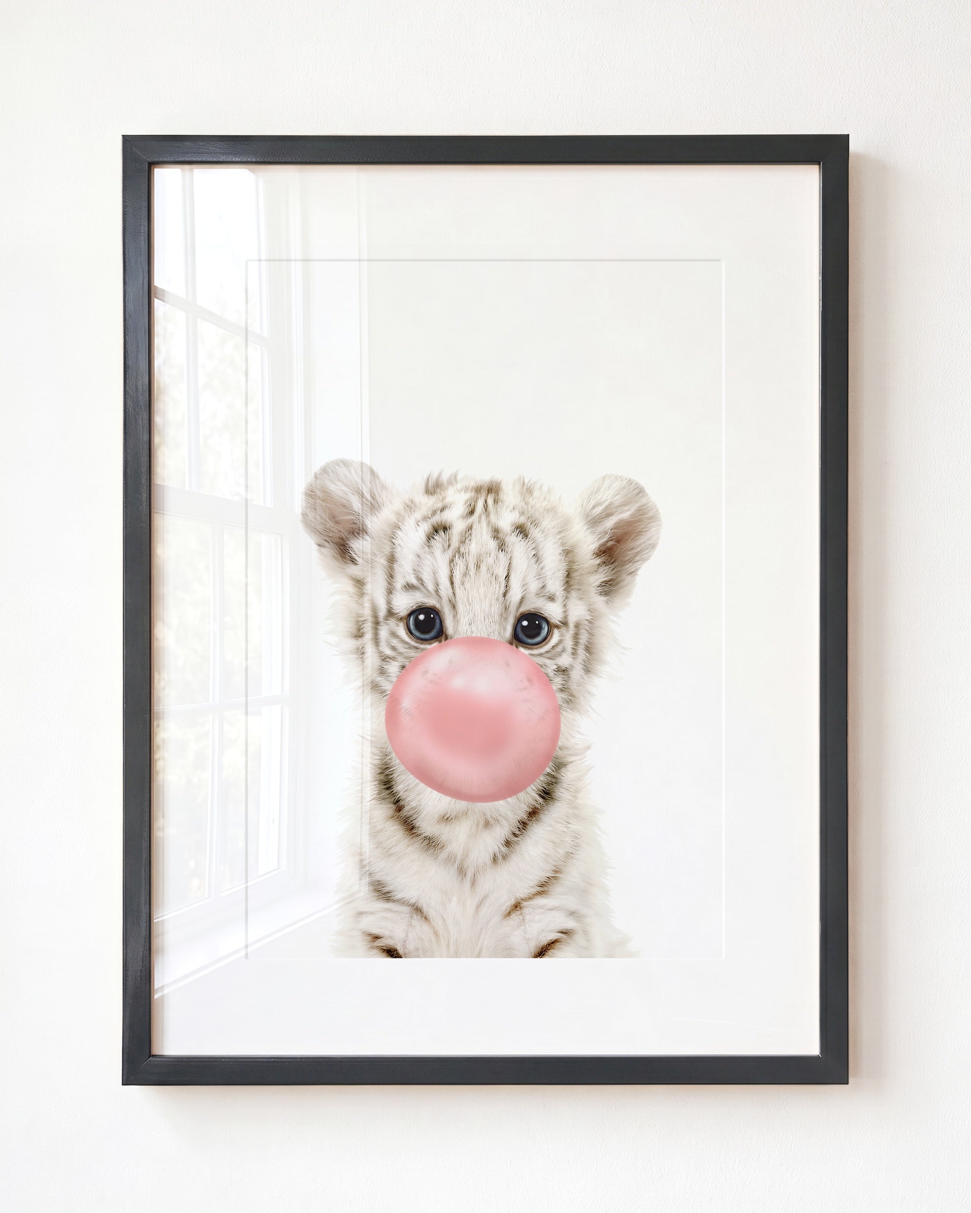 Baby White Tiger
