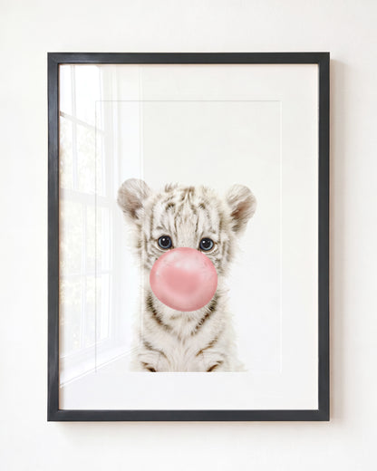 Baby White Tiger