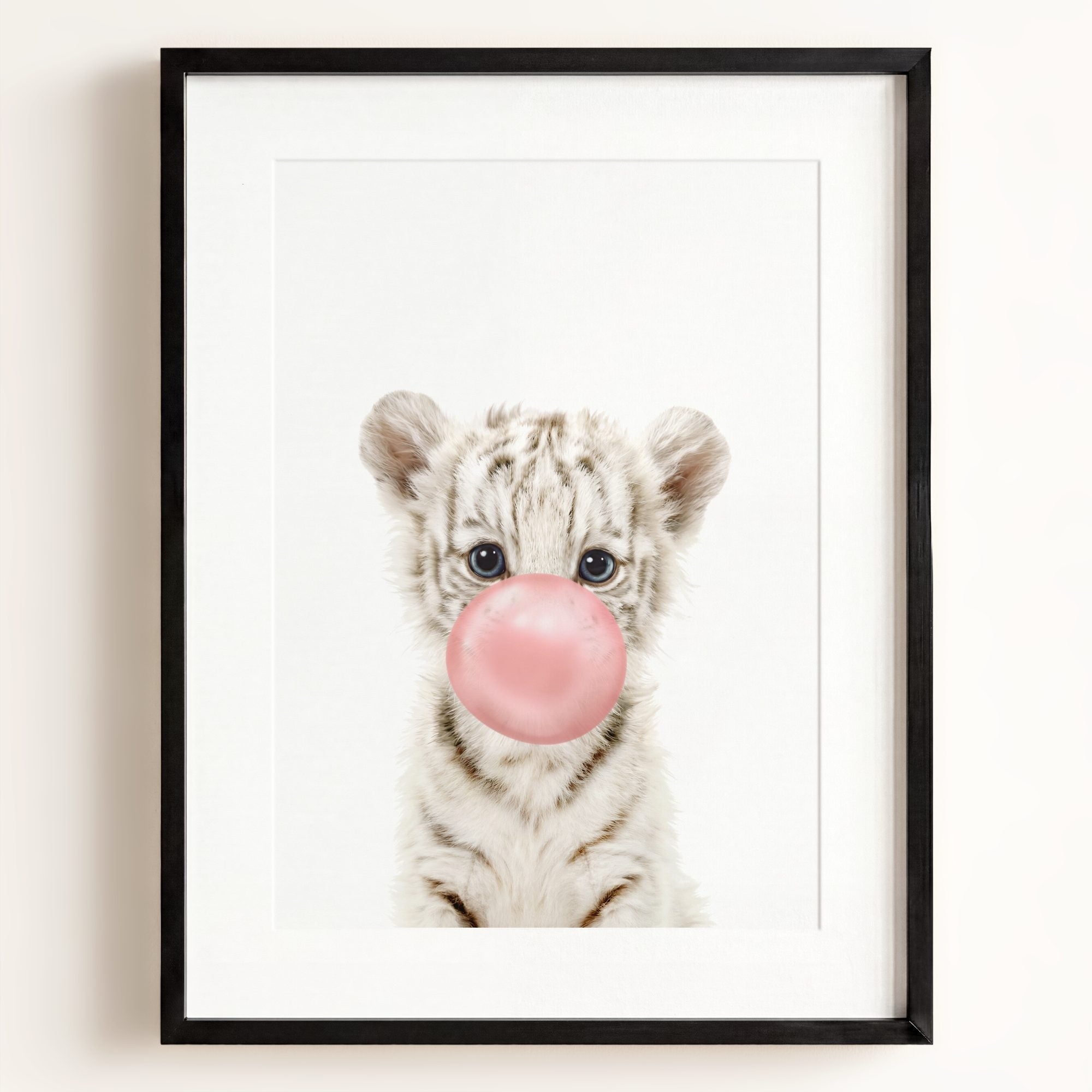 Baby White Tiger