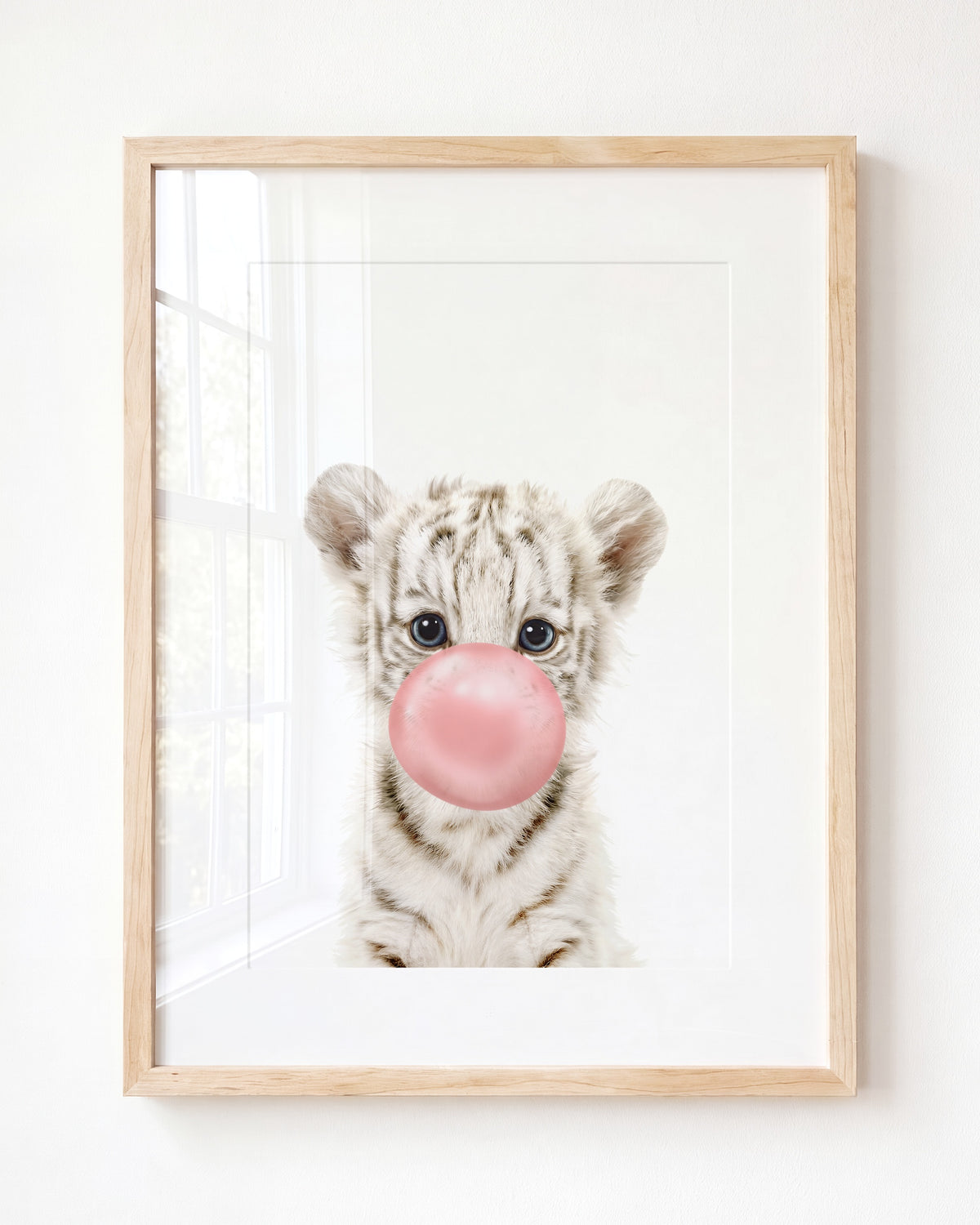 Baby White Tiger