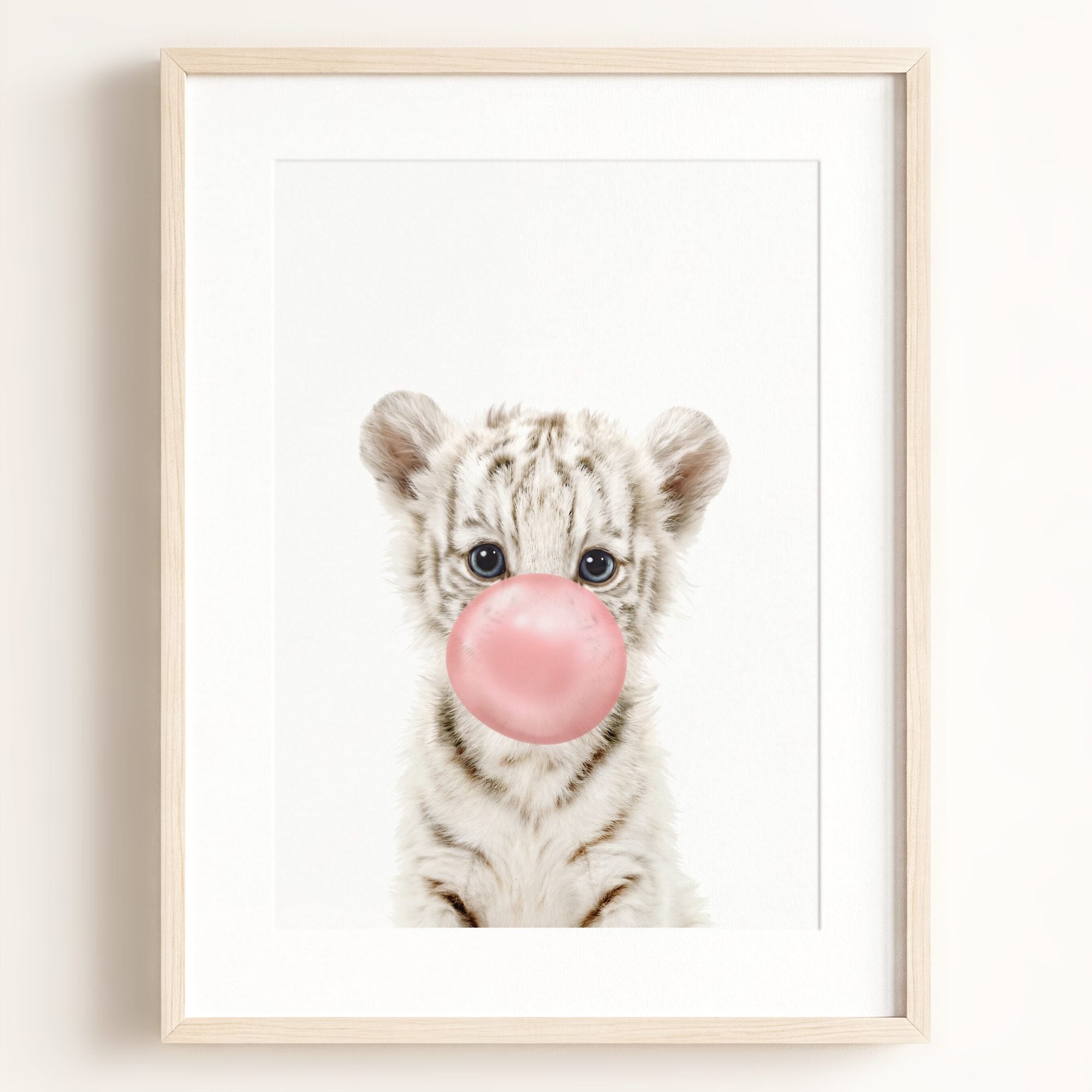 Baby White Tiger