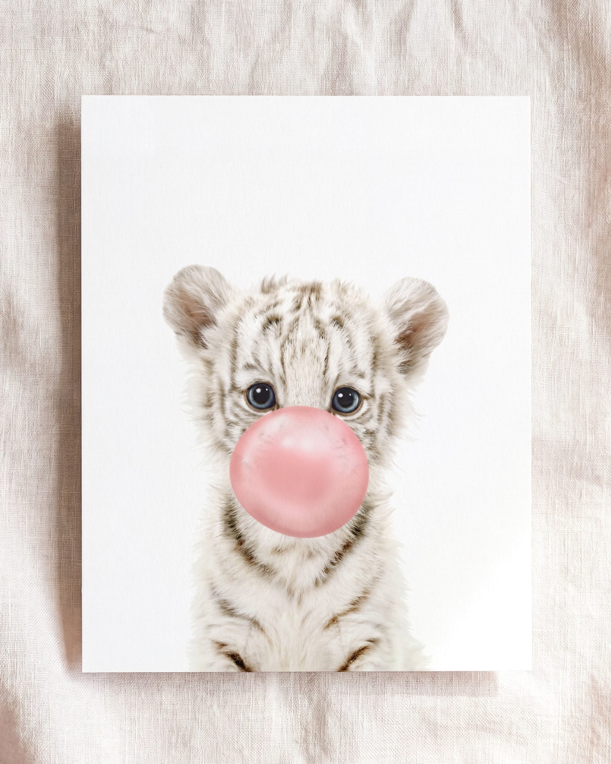 Baby White Tiger