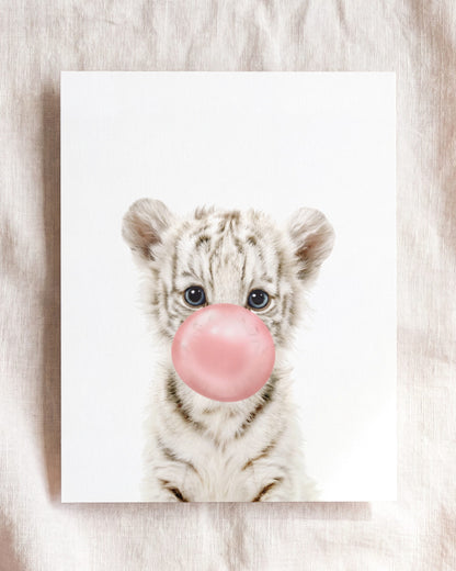Baby White Tiger