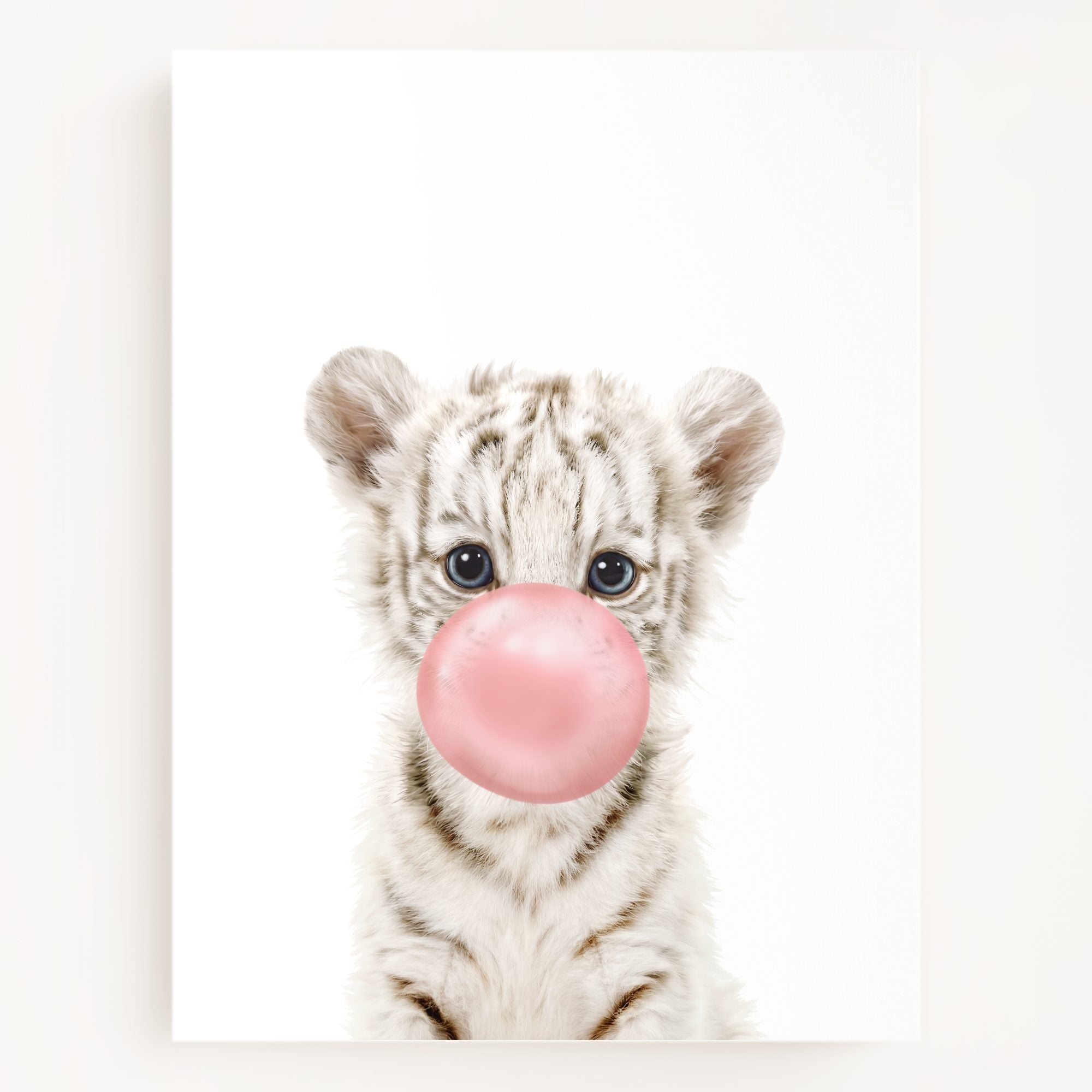 Baby White Tiger