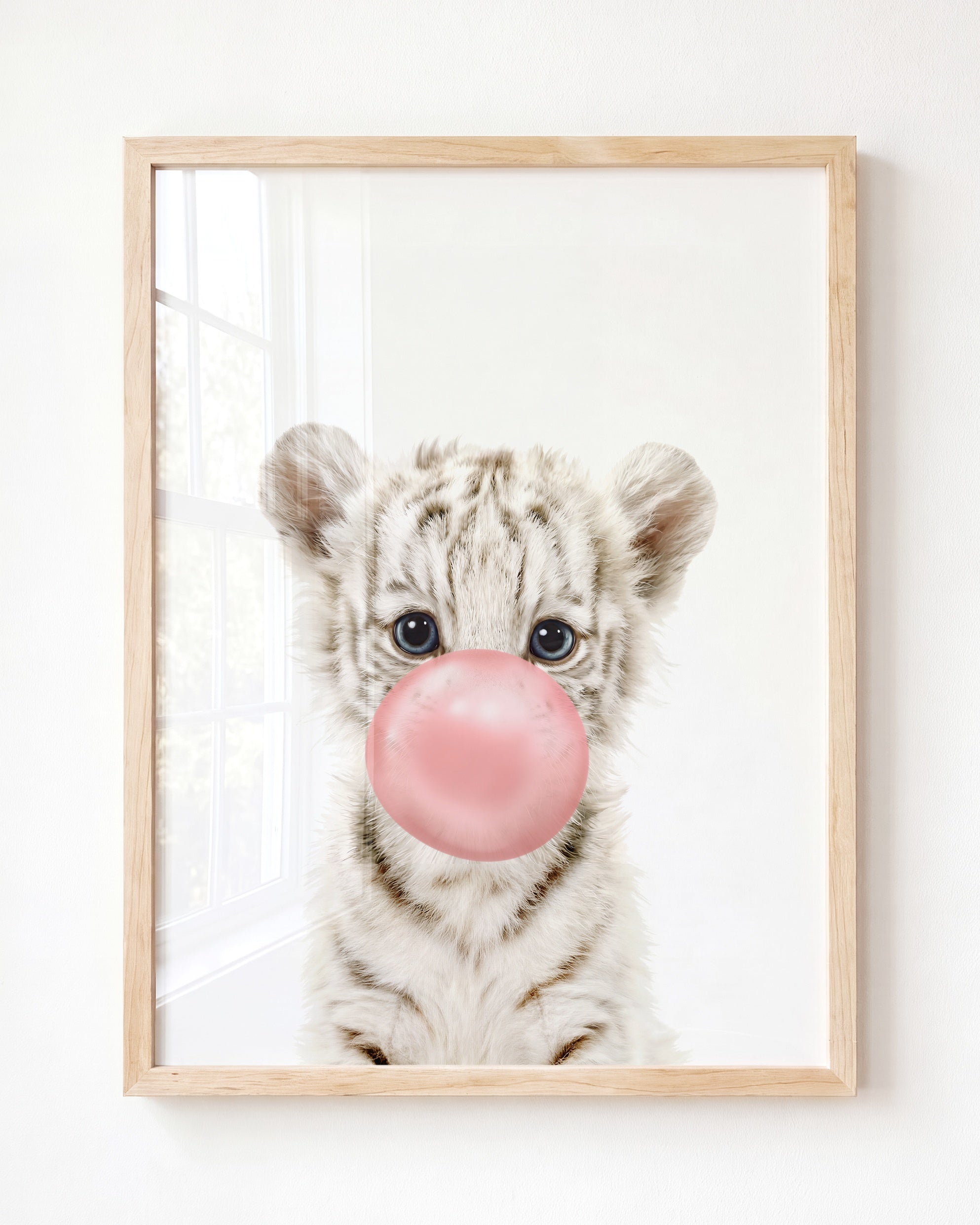 Baby White Tiger