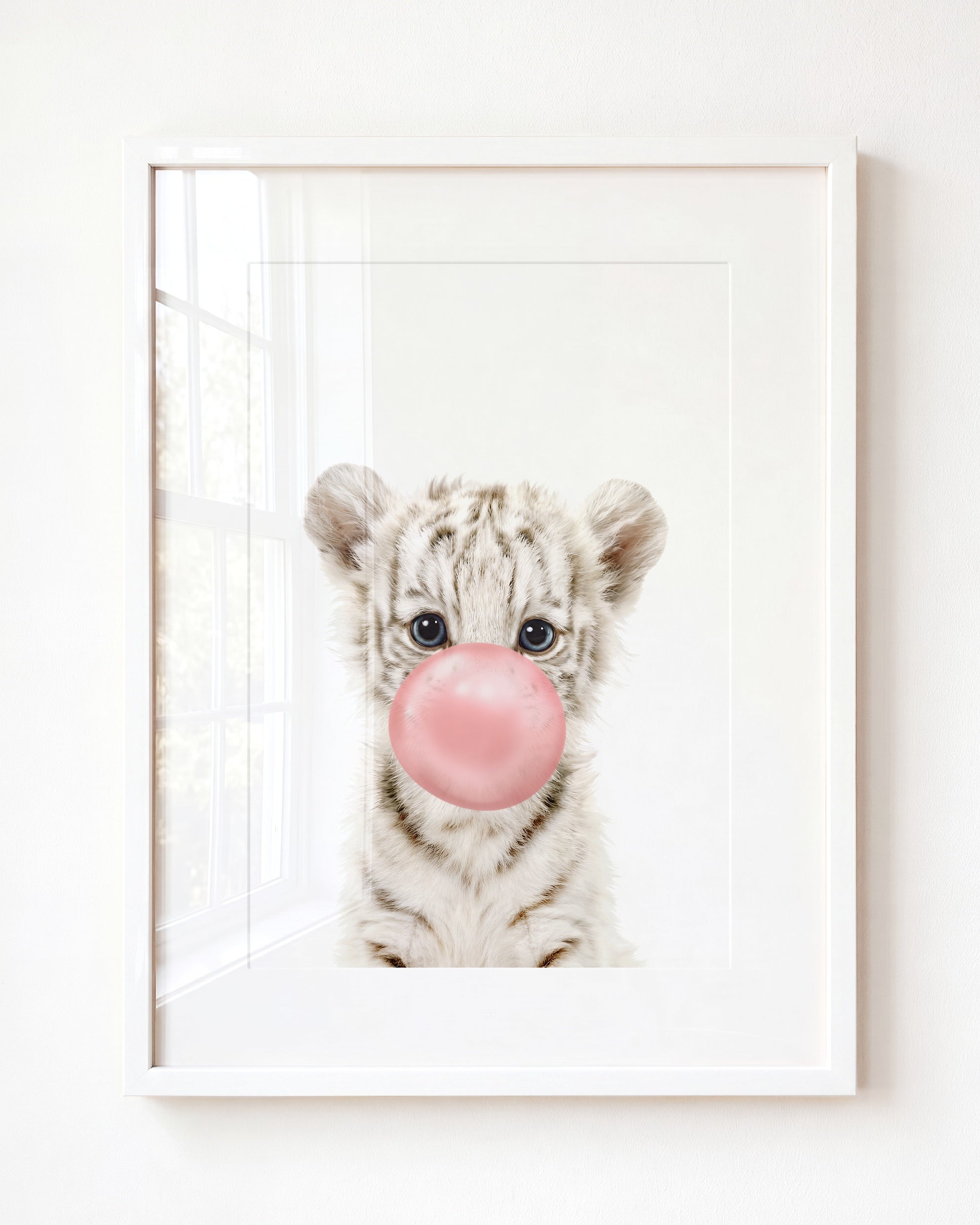 Baby White Tiger