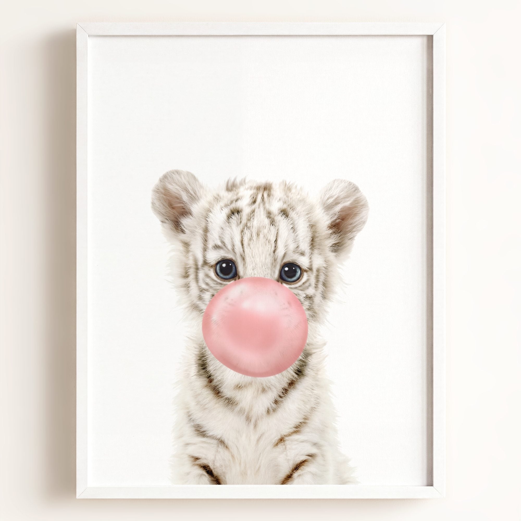 Baby White Tiger