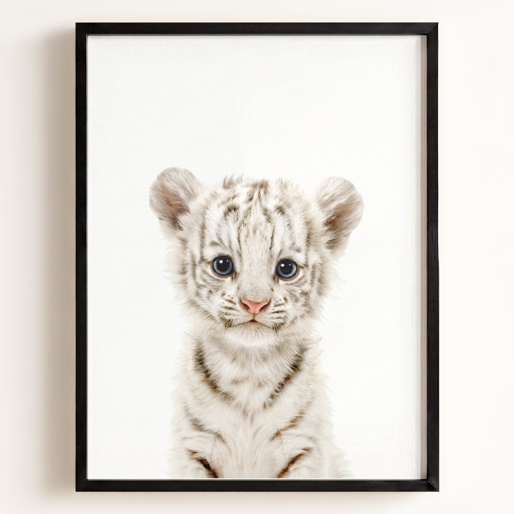Baby White Tiger