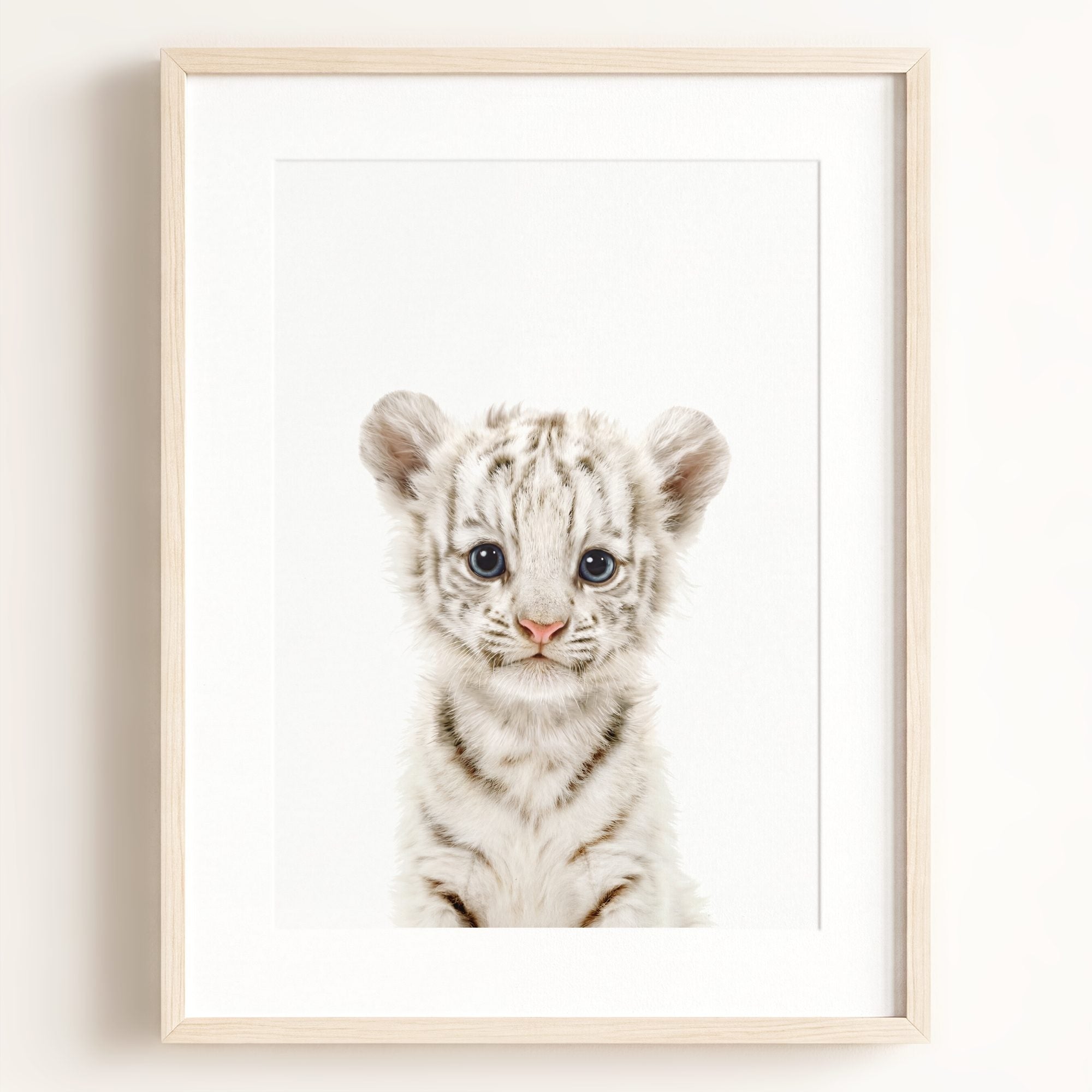 Baby White Tiger