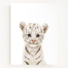 Baby White Tiger