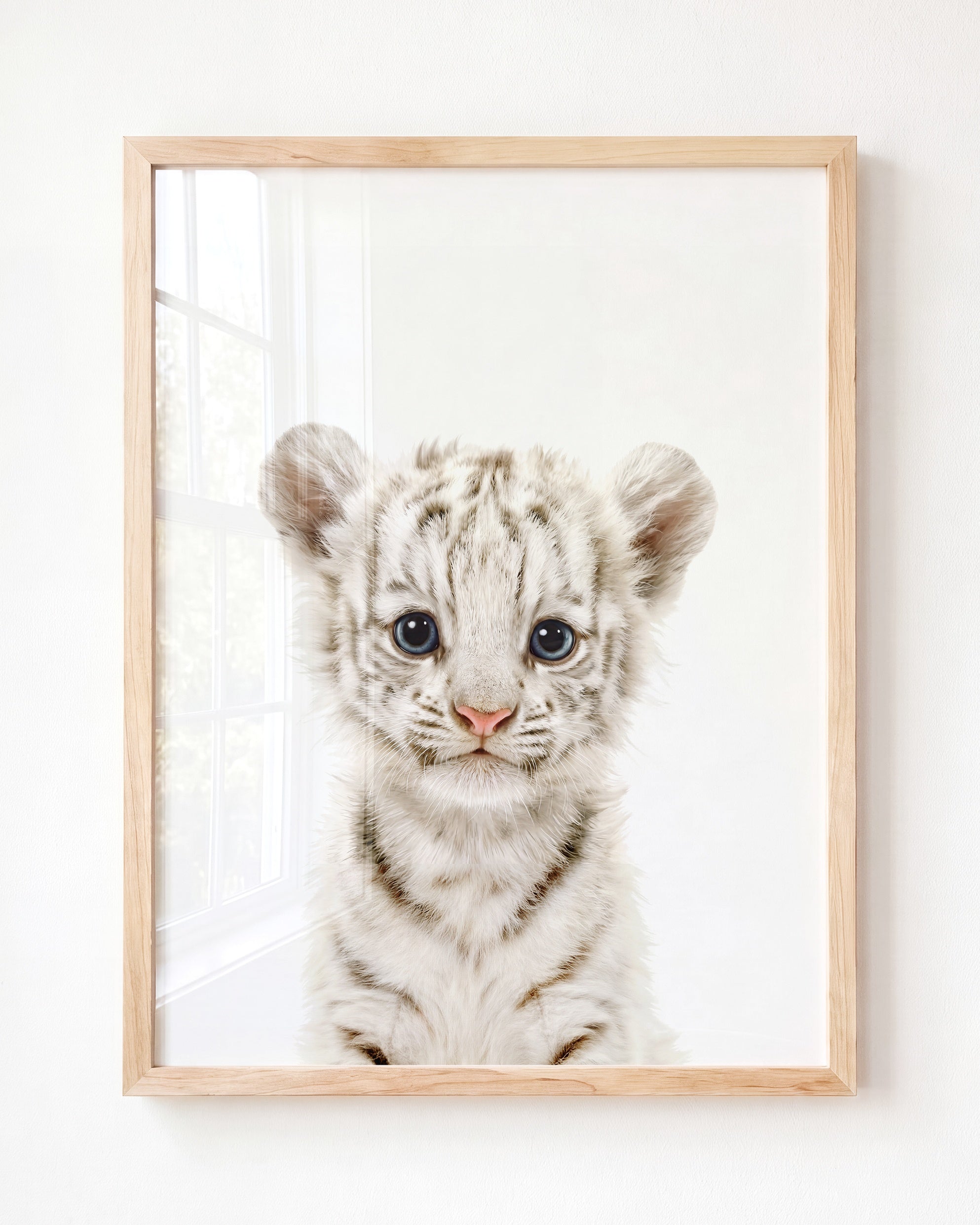 Baby White Tiger