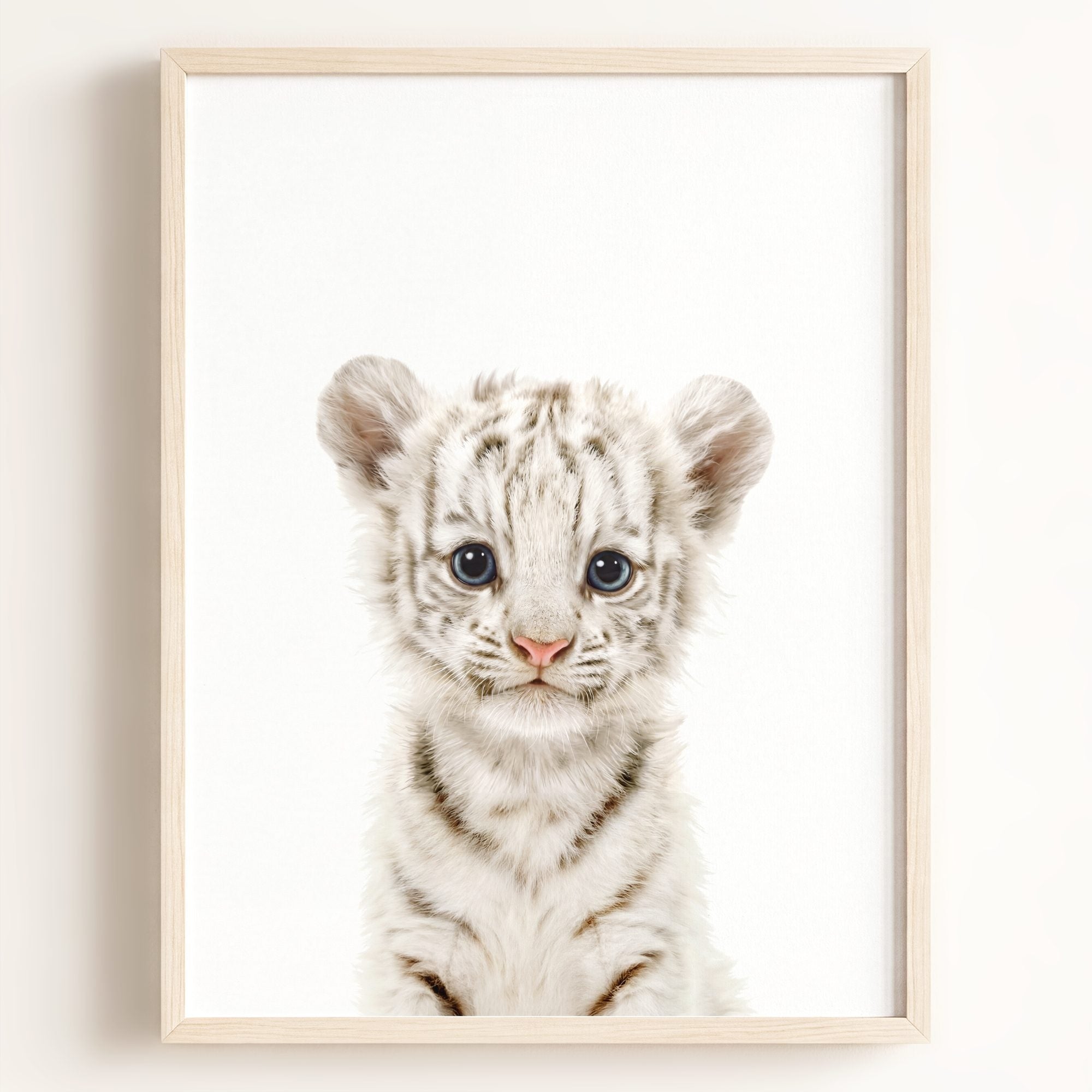 Baby White Tiger