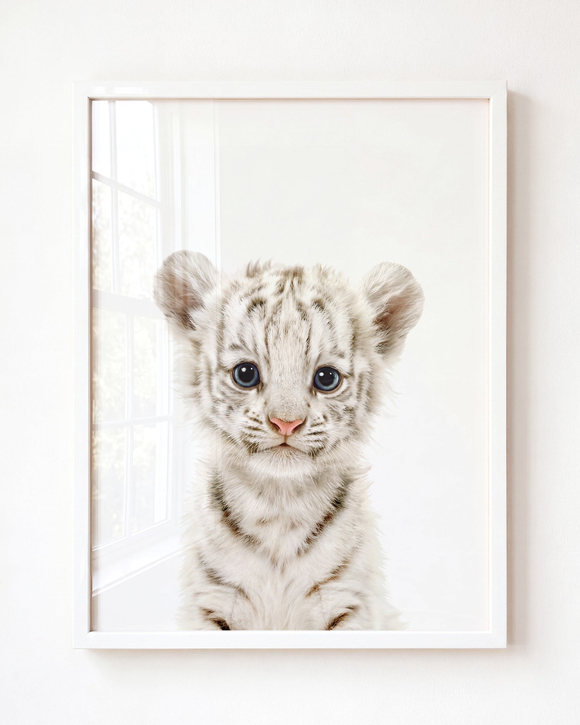 Baby White Tiger