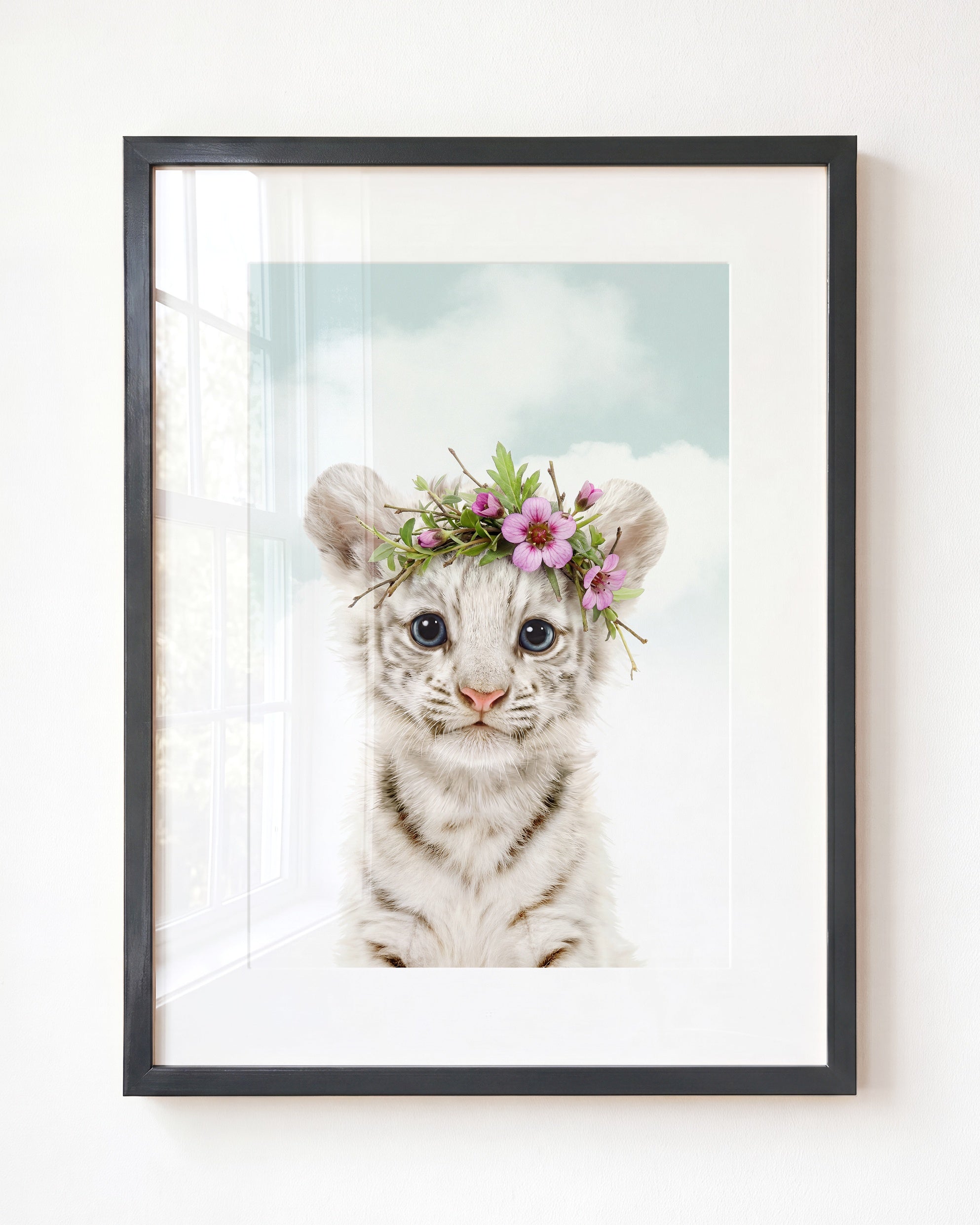 Baby White Tiger