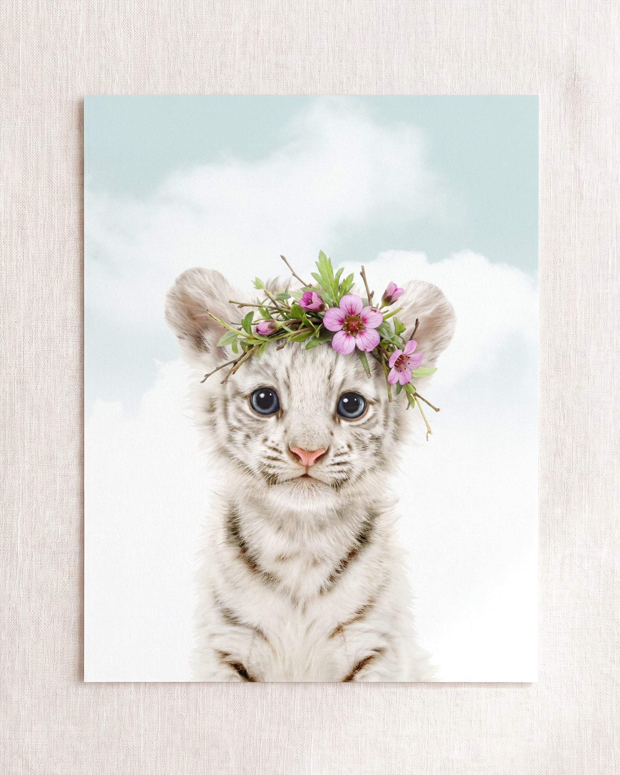 Baby White Tiger