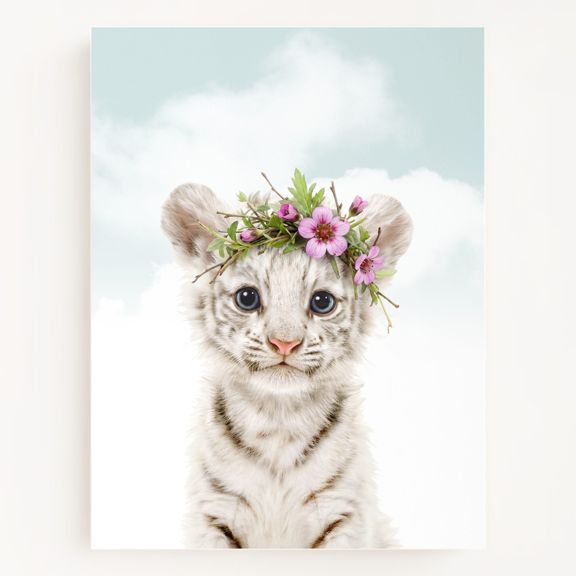 Baby White Tiger
