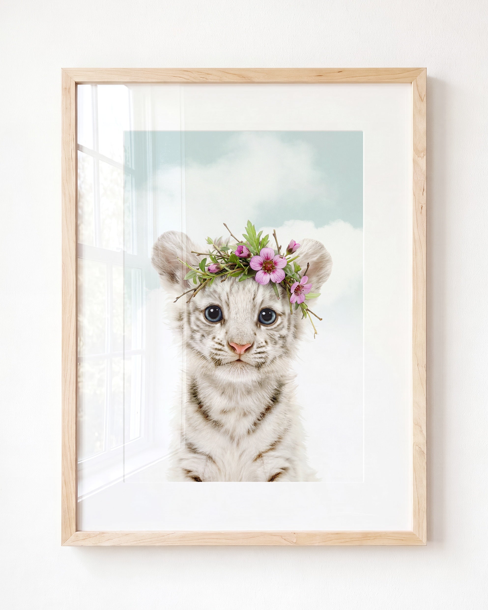 Baby White Tiger