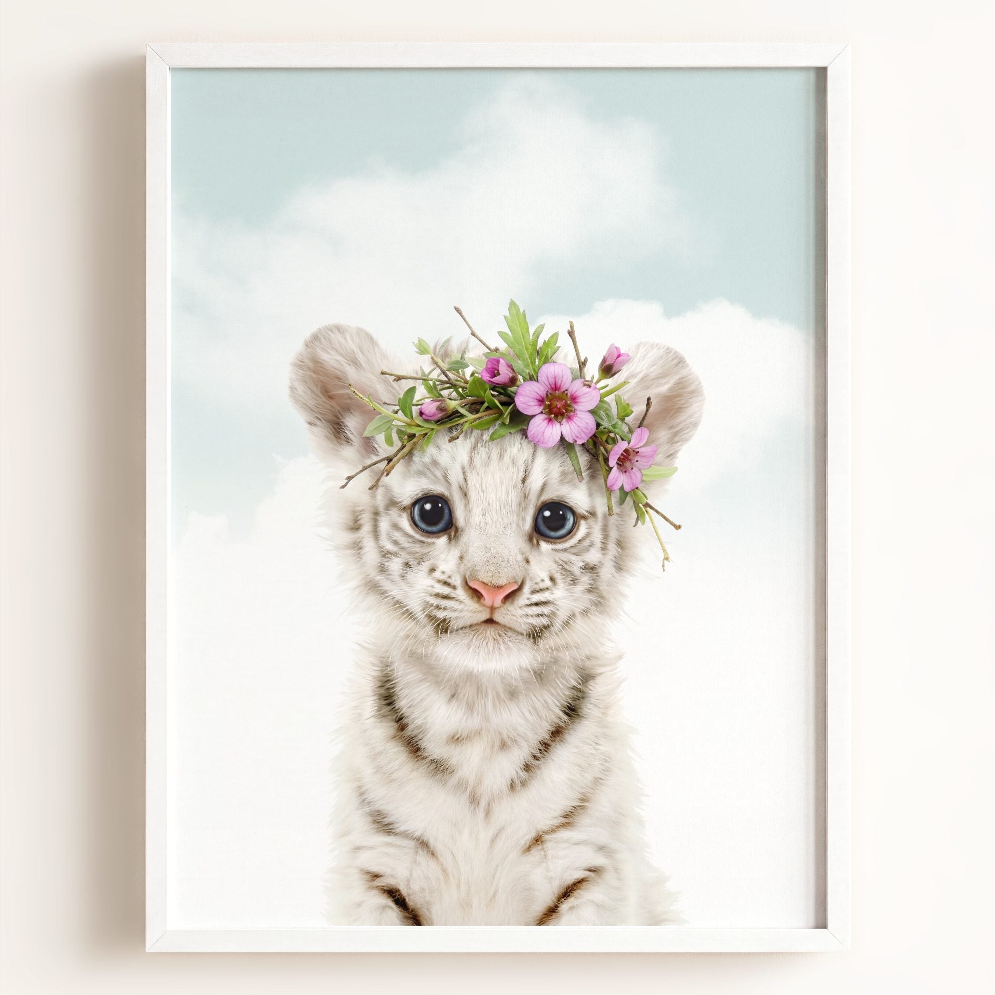 Baby White Tiger