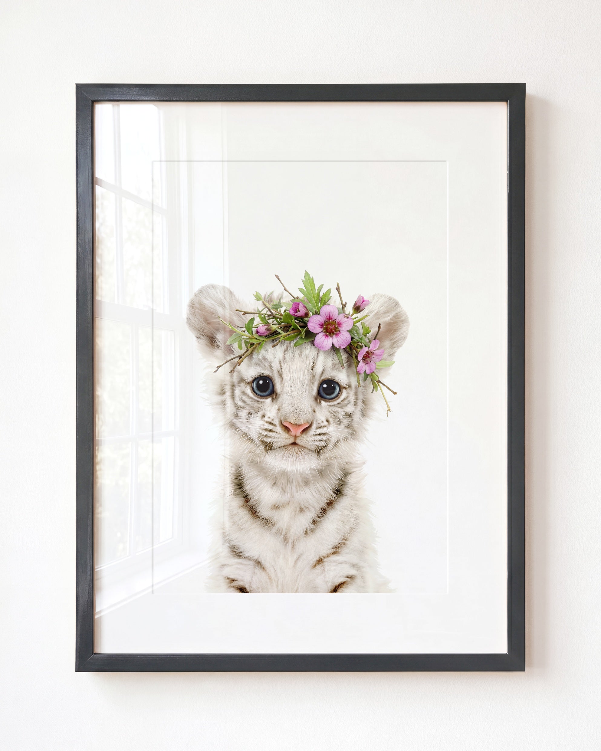 Baby White Tiger