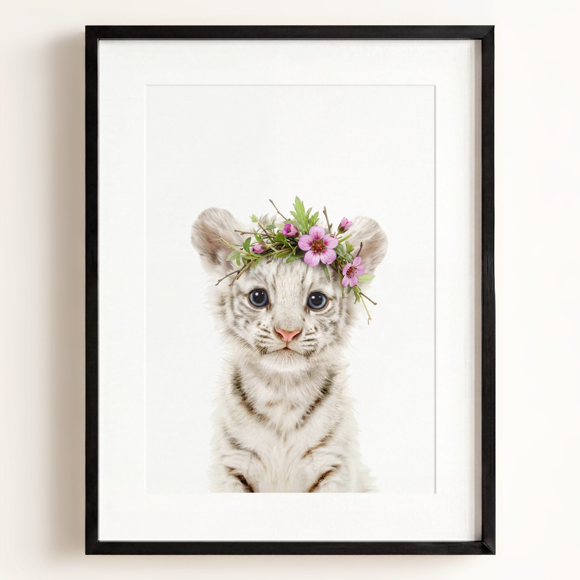Baby White Tiger