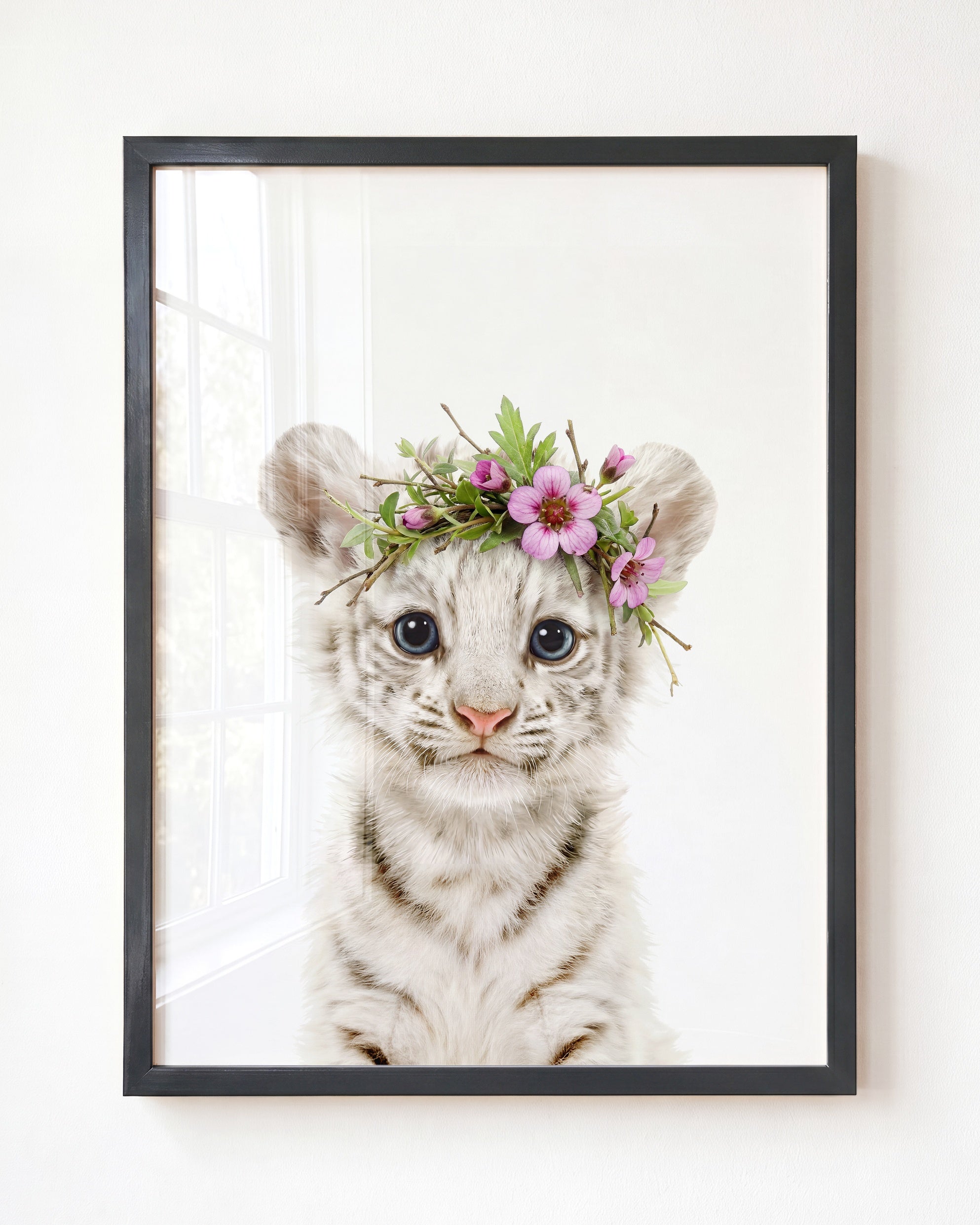 Baby White Tiger