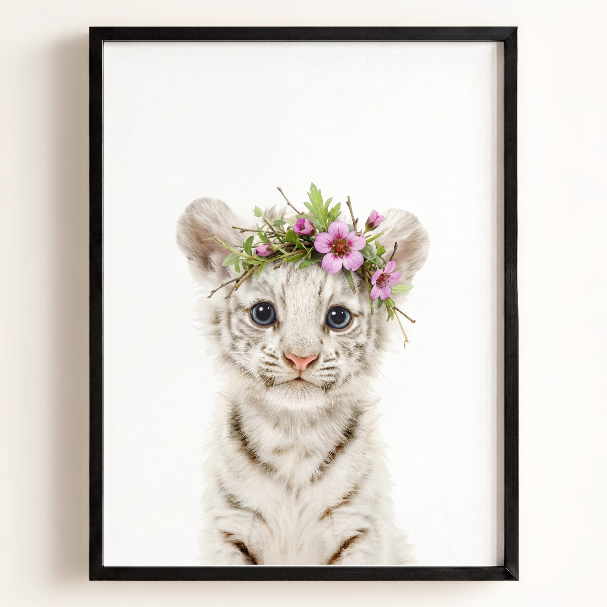 Baby White Tiger