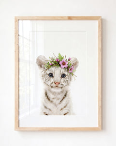 Baby White Tiger
