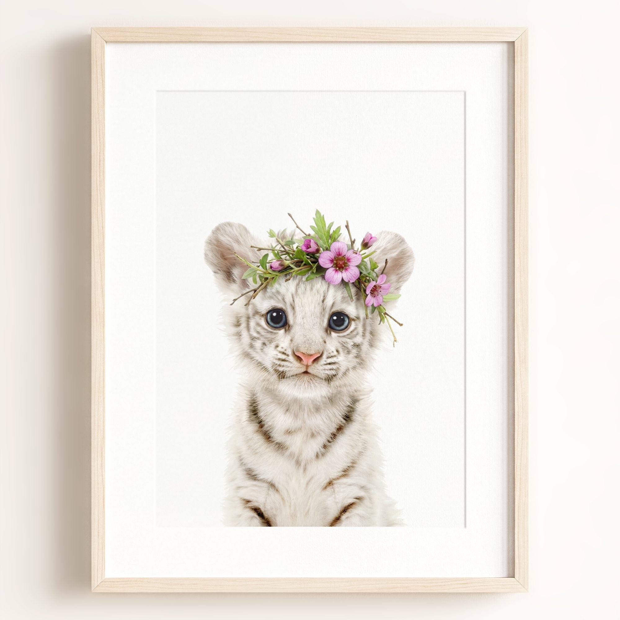 Baby White Tiger