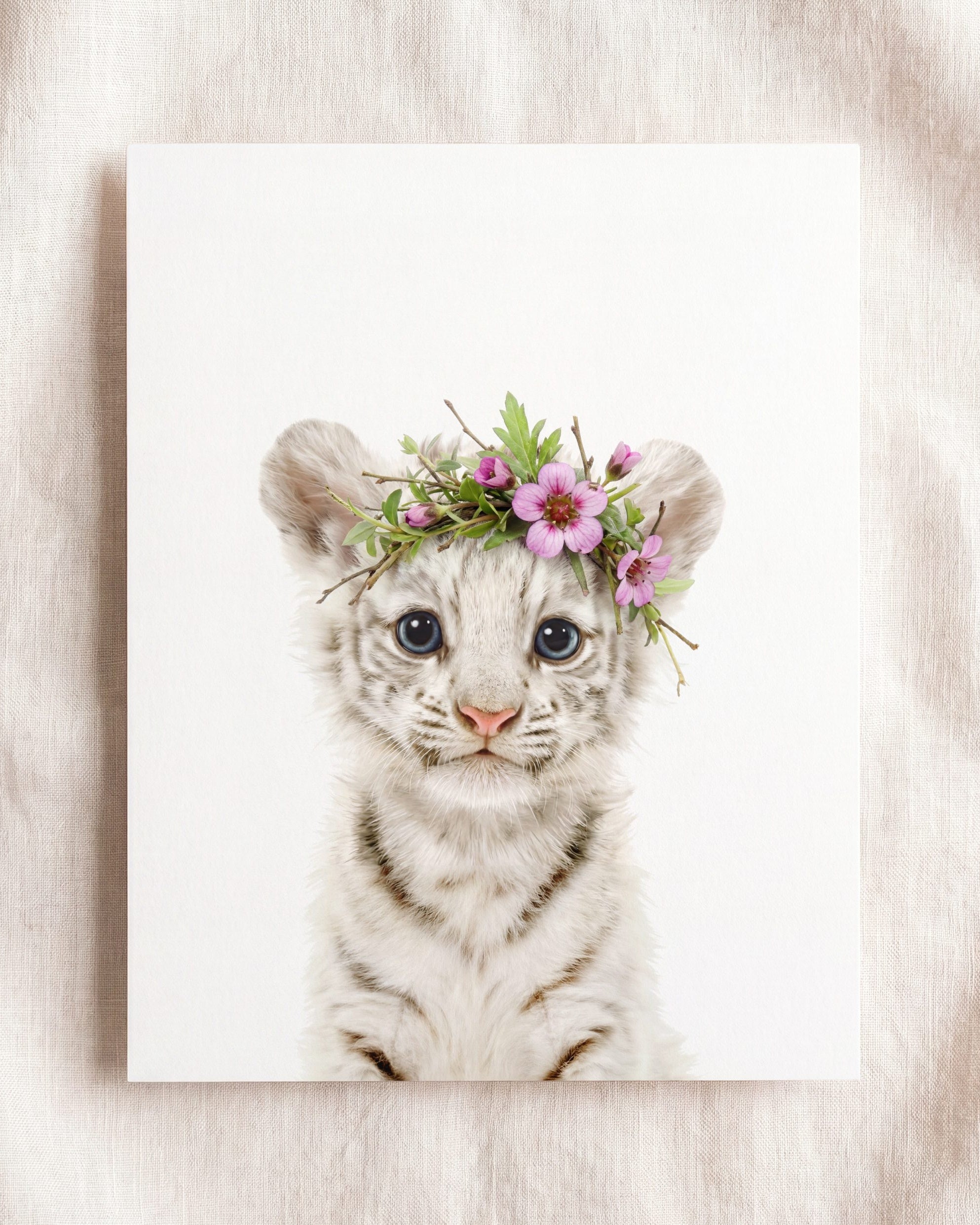 Baby White Tiger