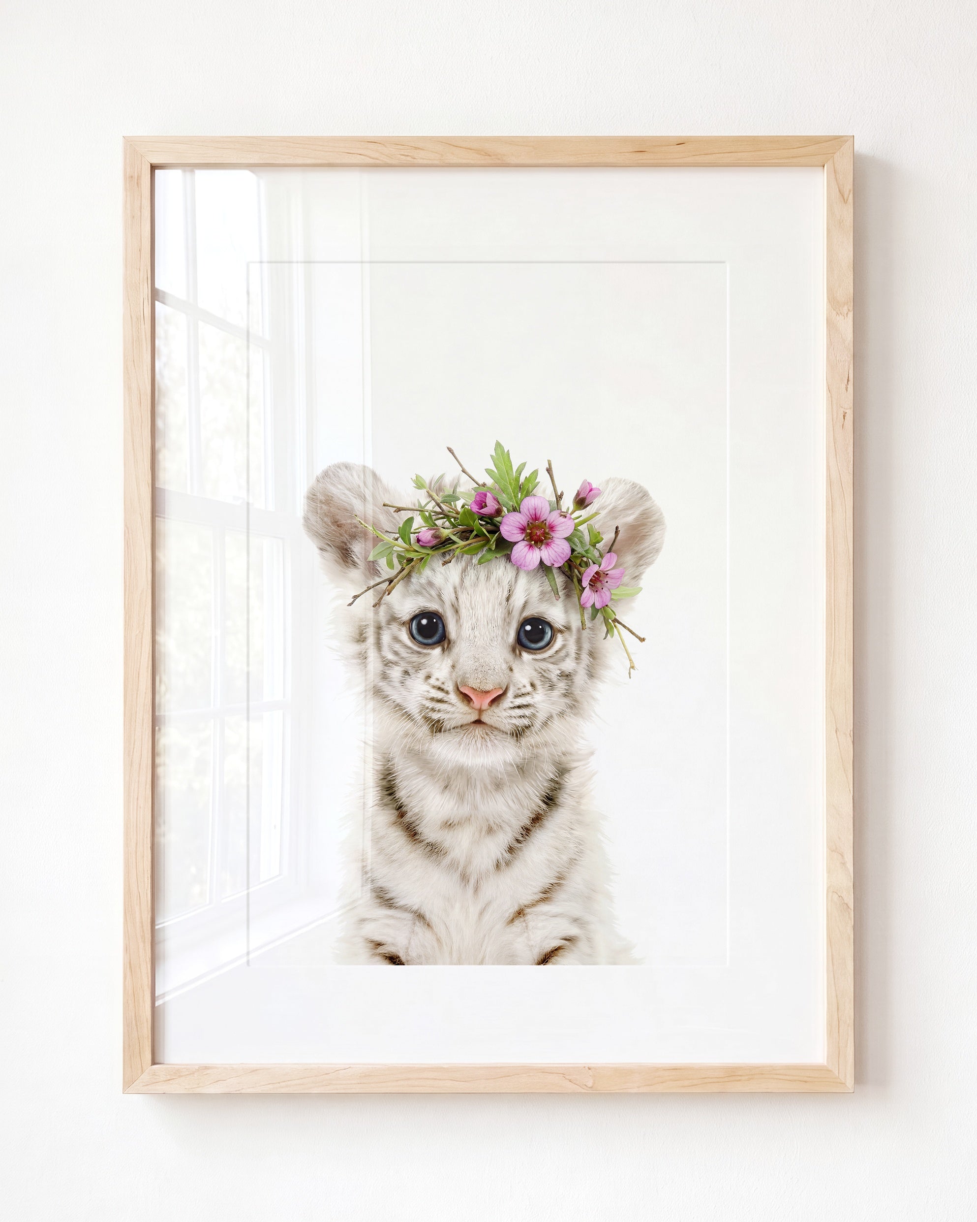 Baby White Tiger