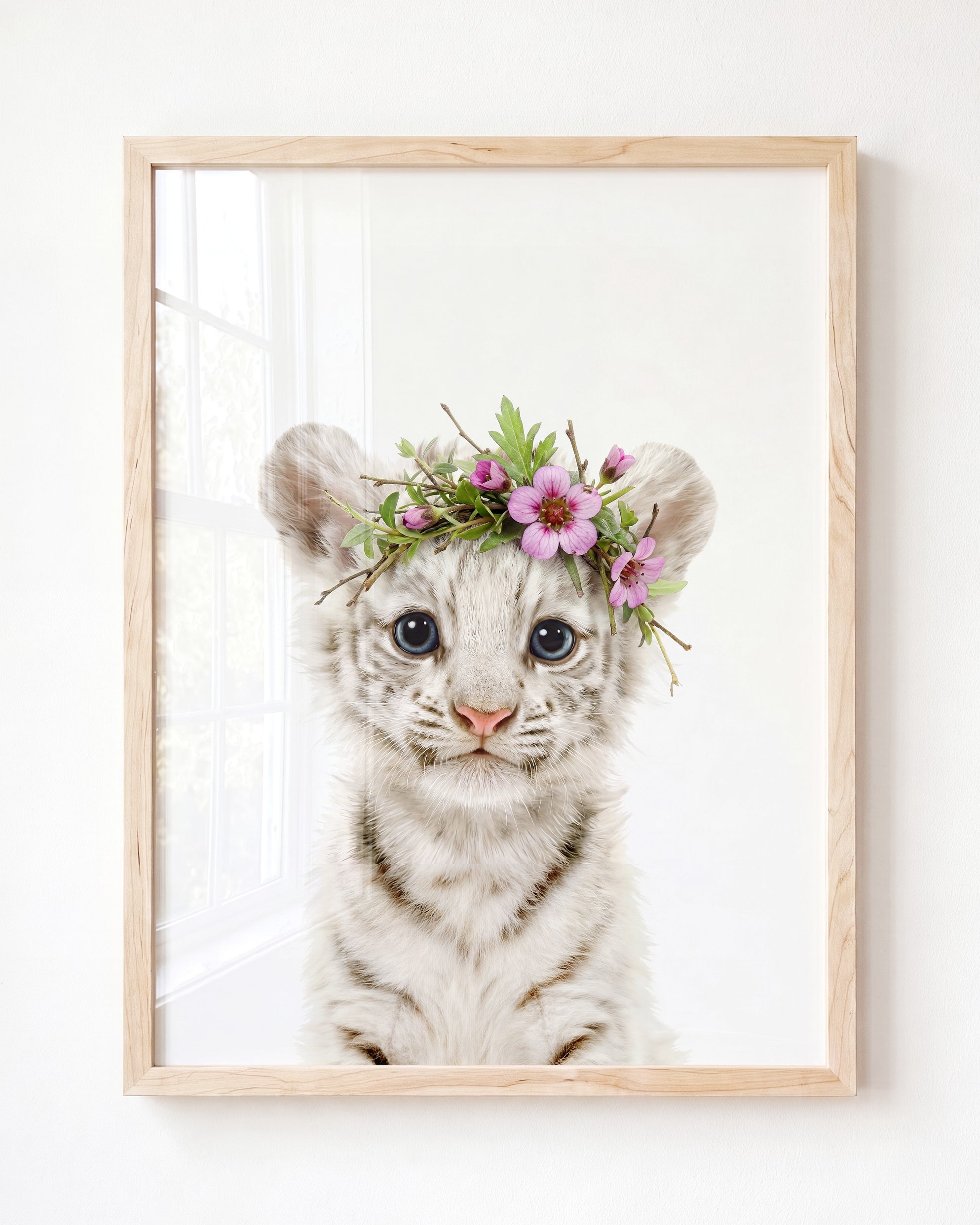 Baby White Tiger