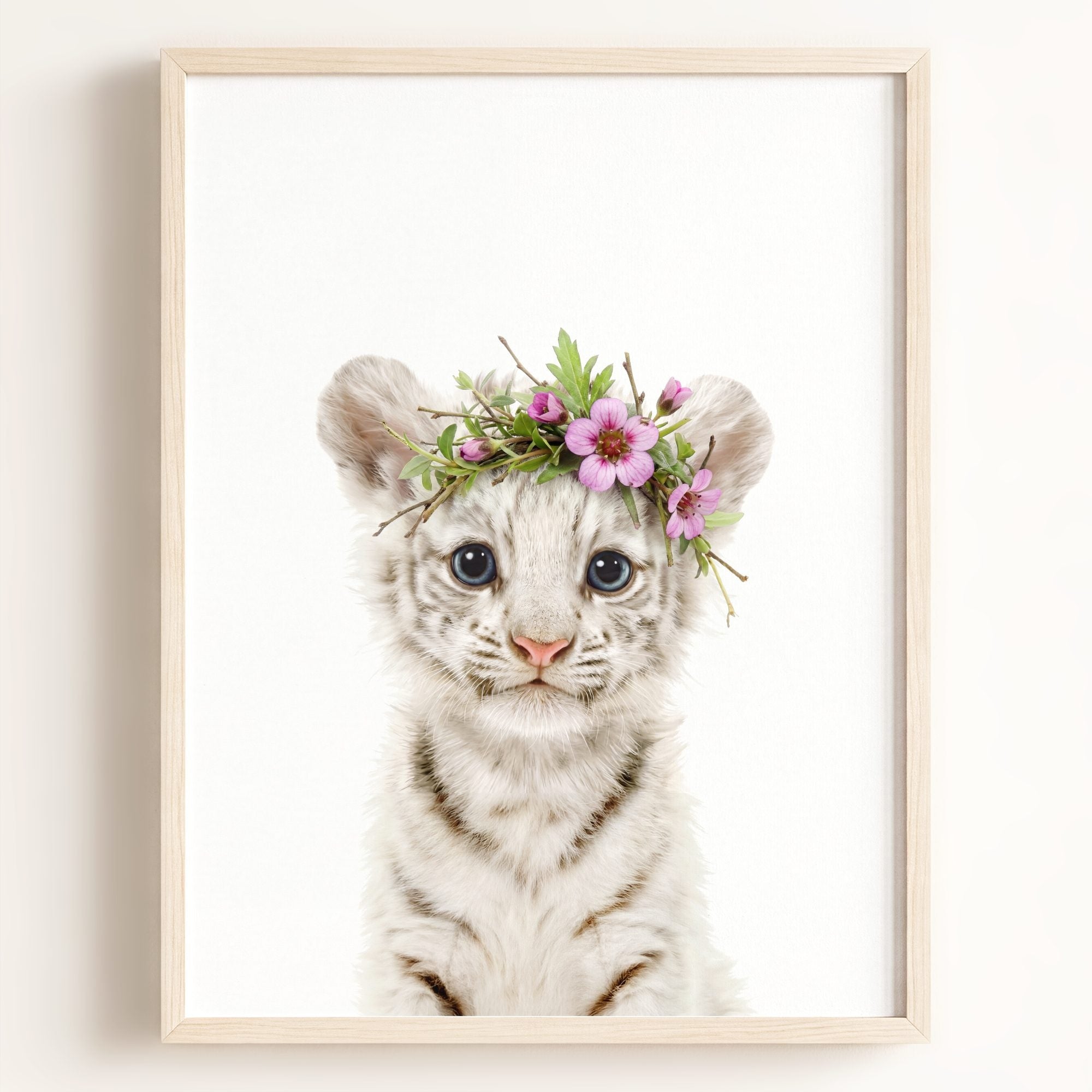 Baby White Tiger