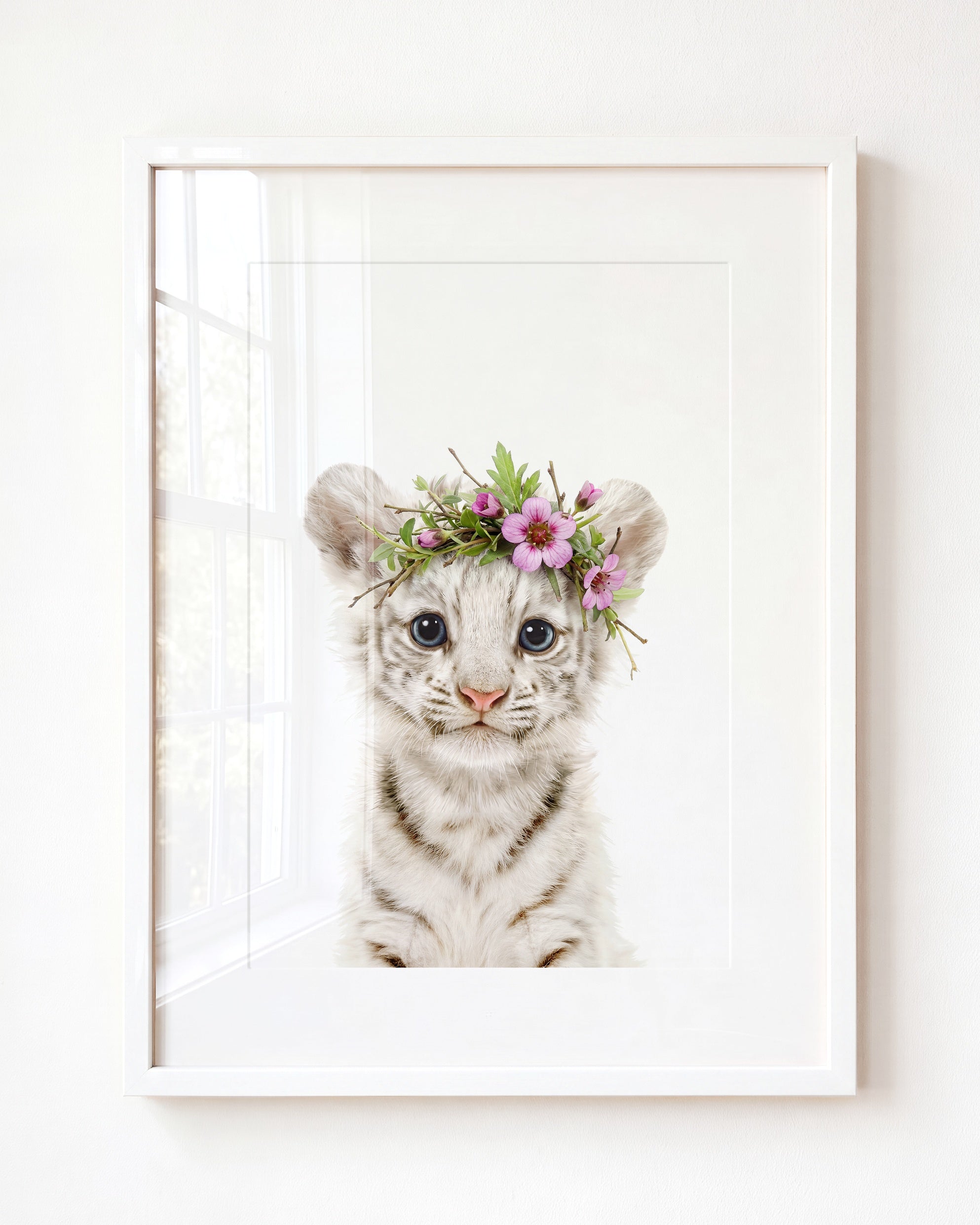 Baby White Tiger