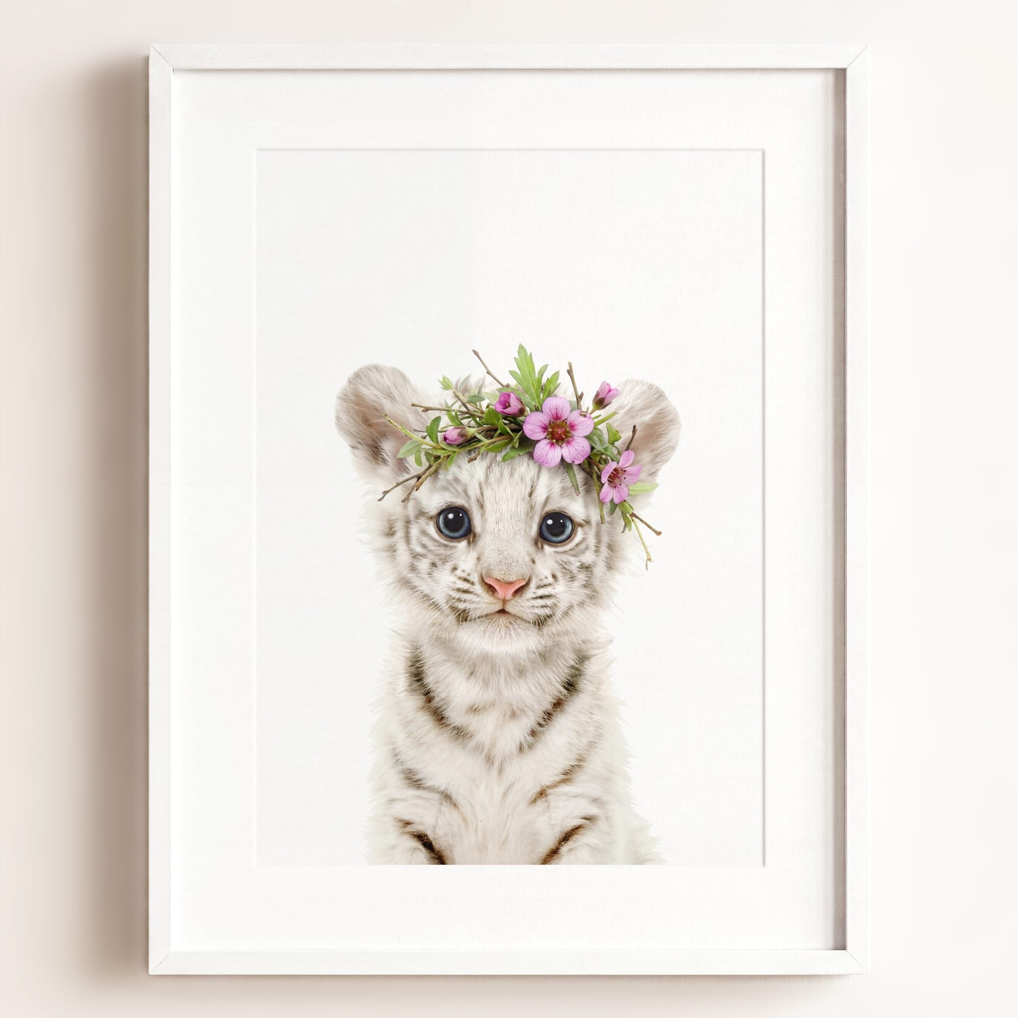 Baby White Tiger