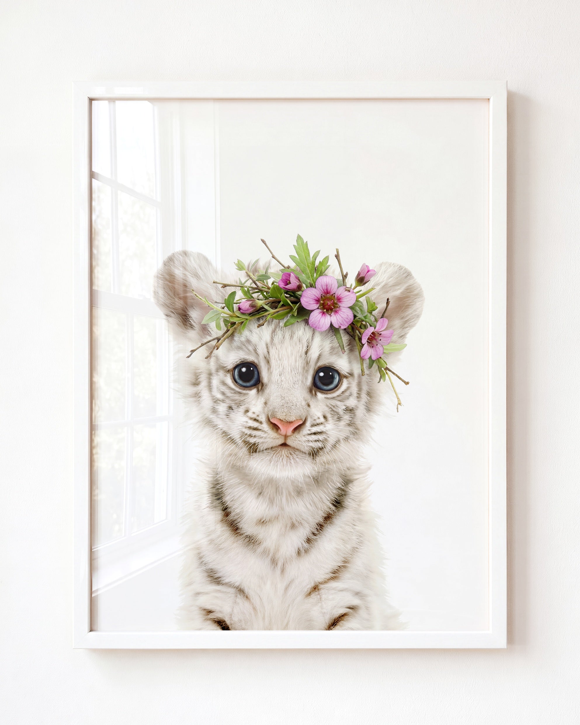 Baby White Tiger