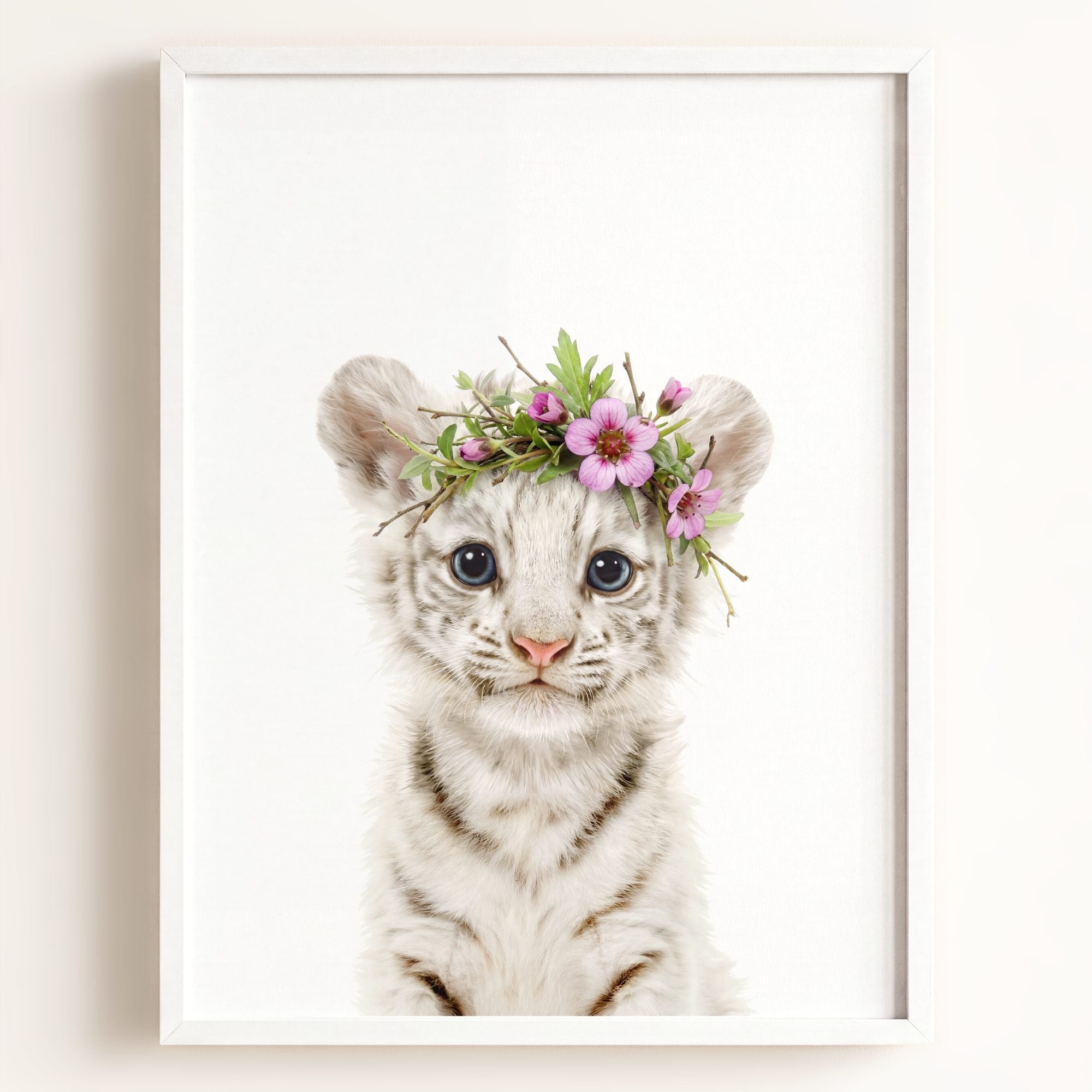 Baby White Tiger