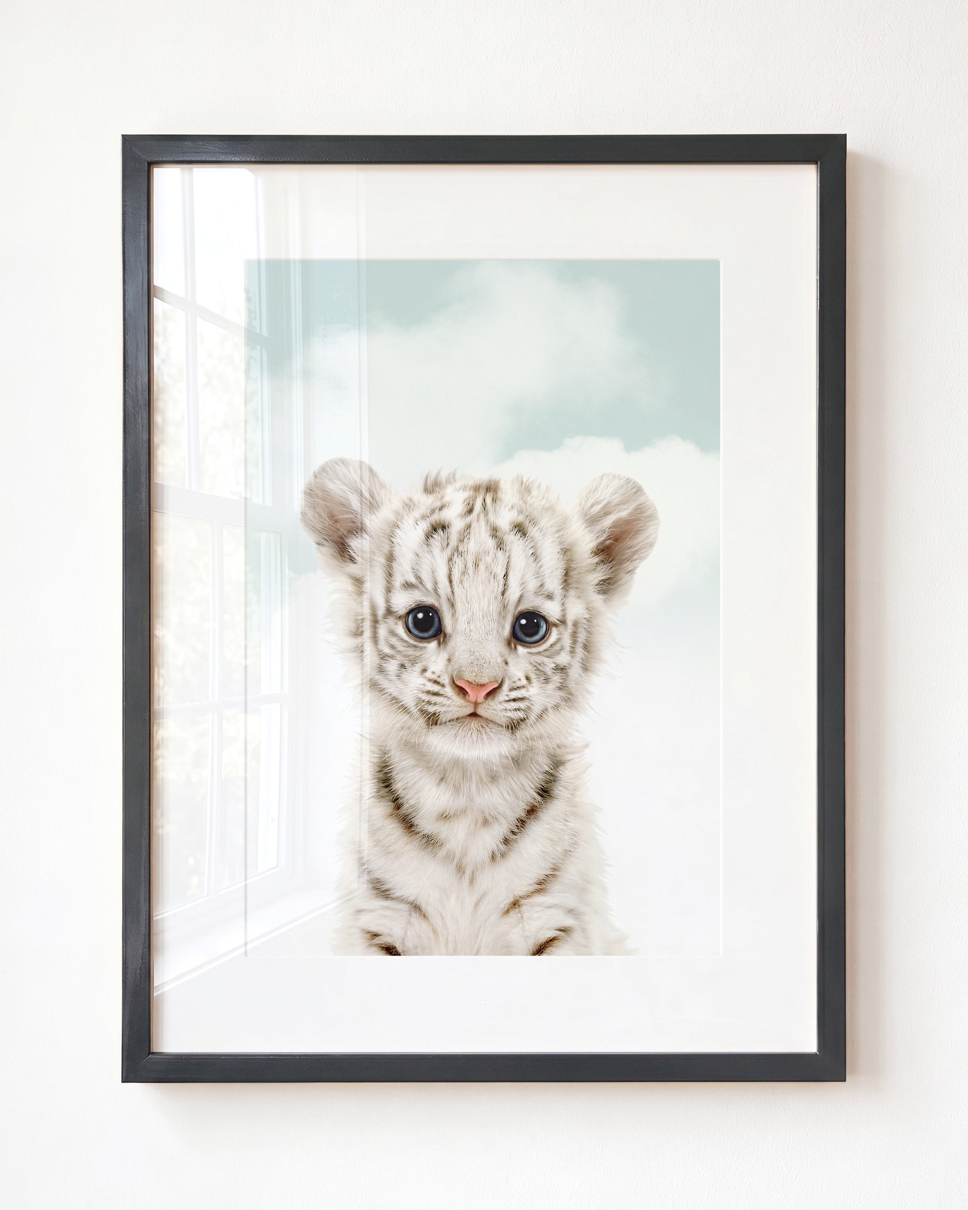 Baby White Tiger
