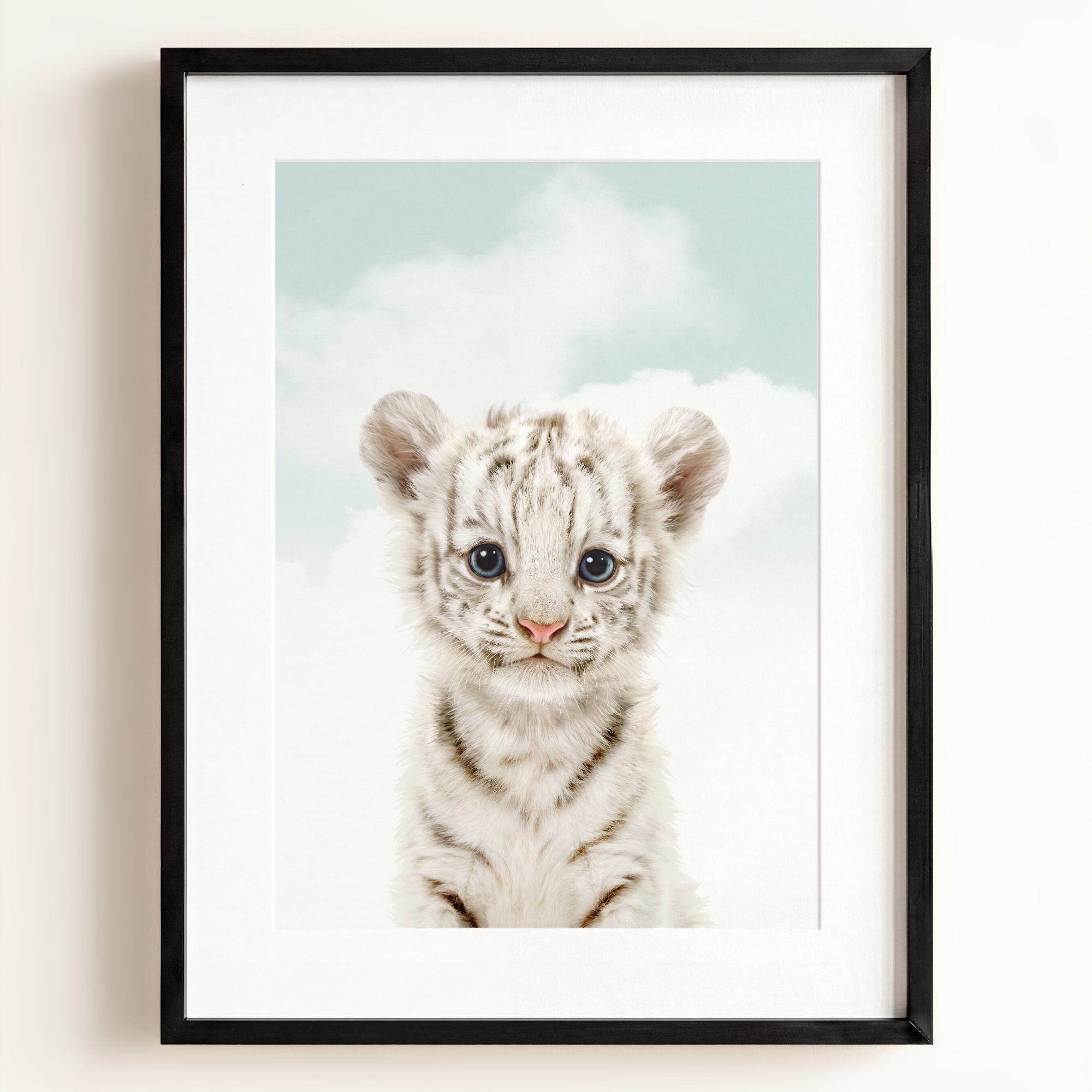Baby White Tiger