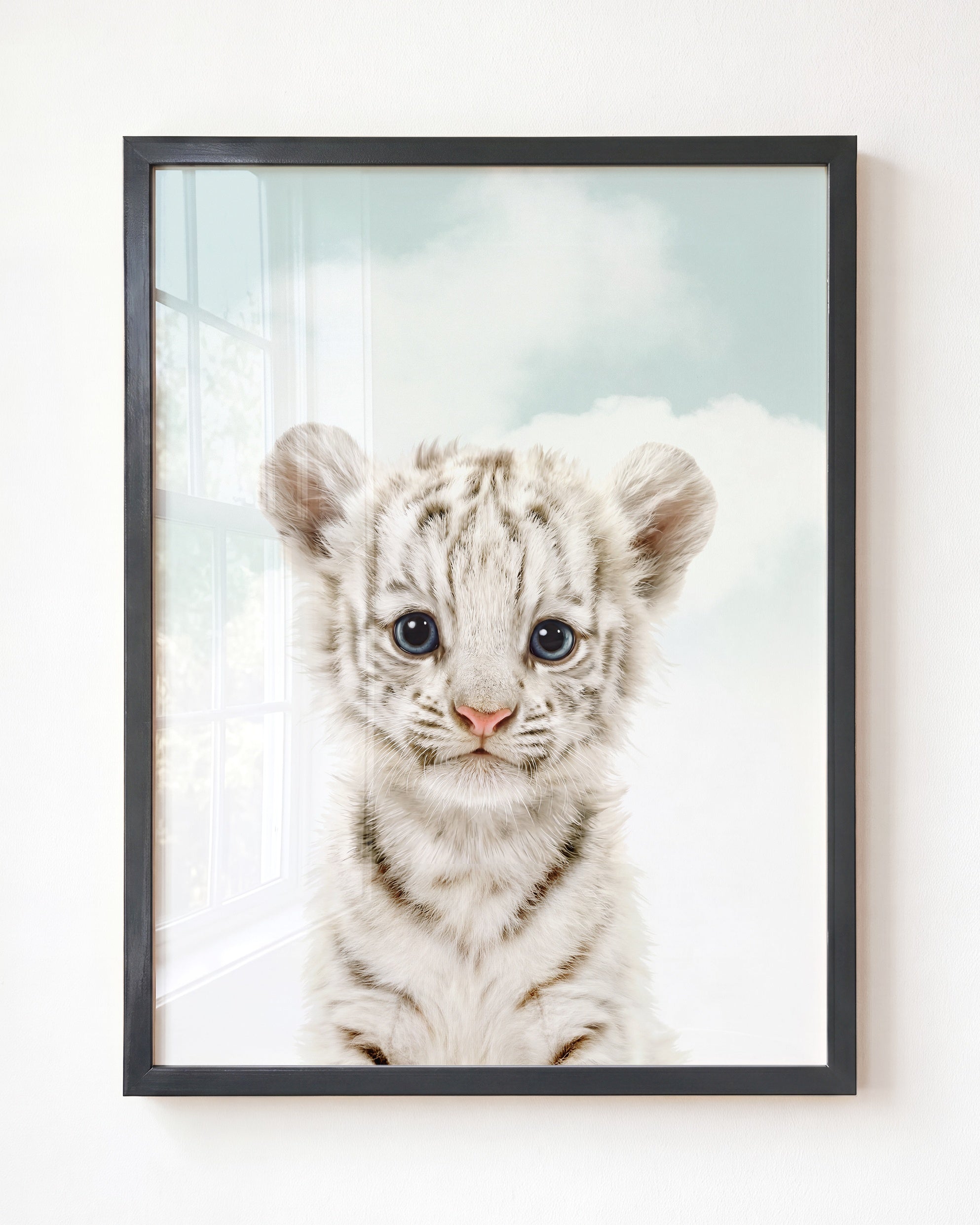 Baby White Tiger