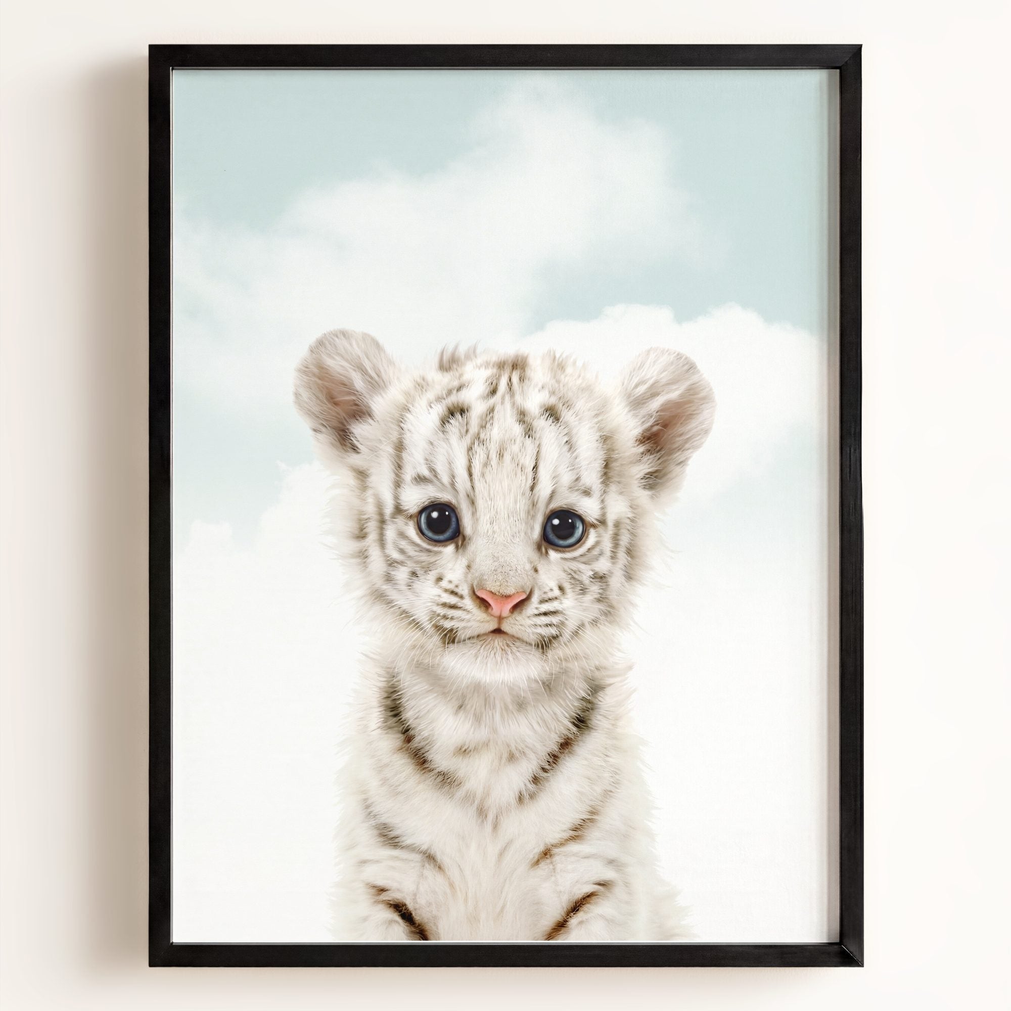 Baby White Tiger
