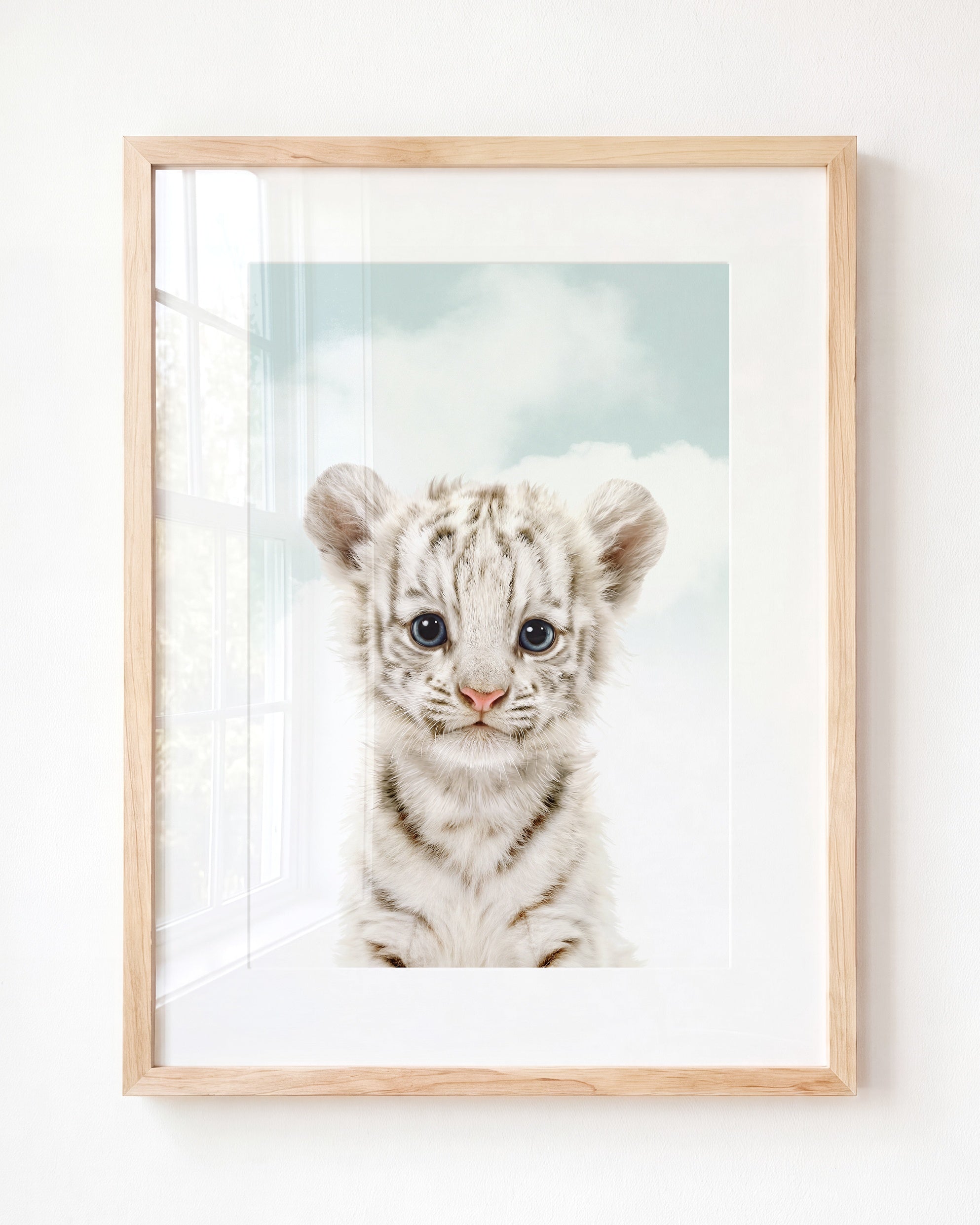 Baby White Tiger