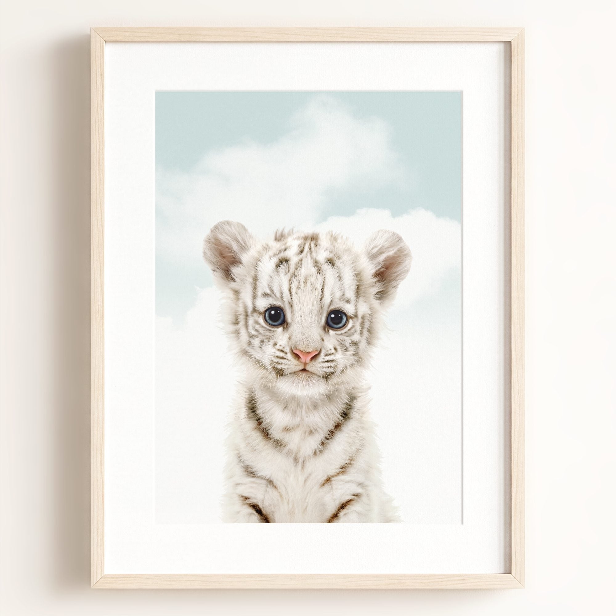 Baby White Tiger