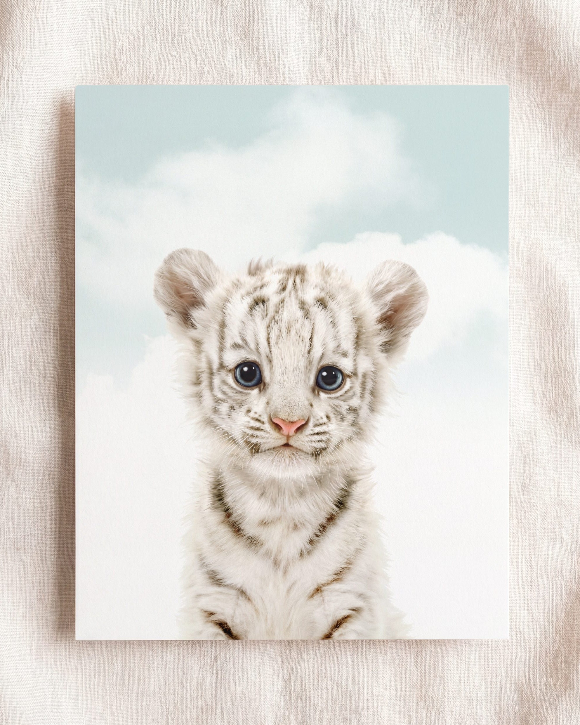 Baby White Tiger
