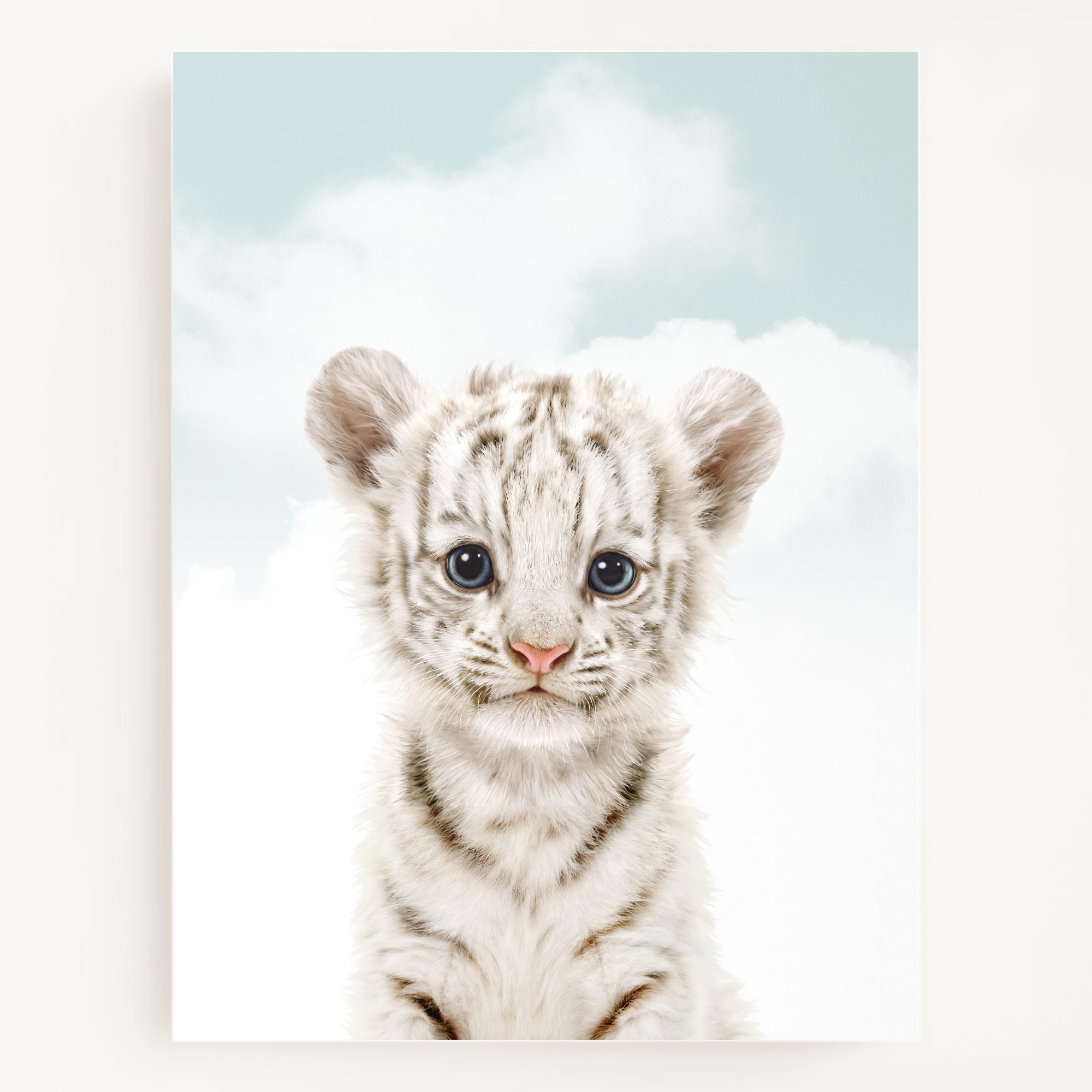 Baby White Tiger
