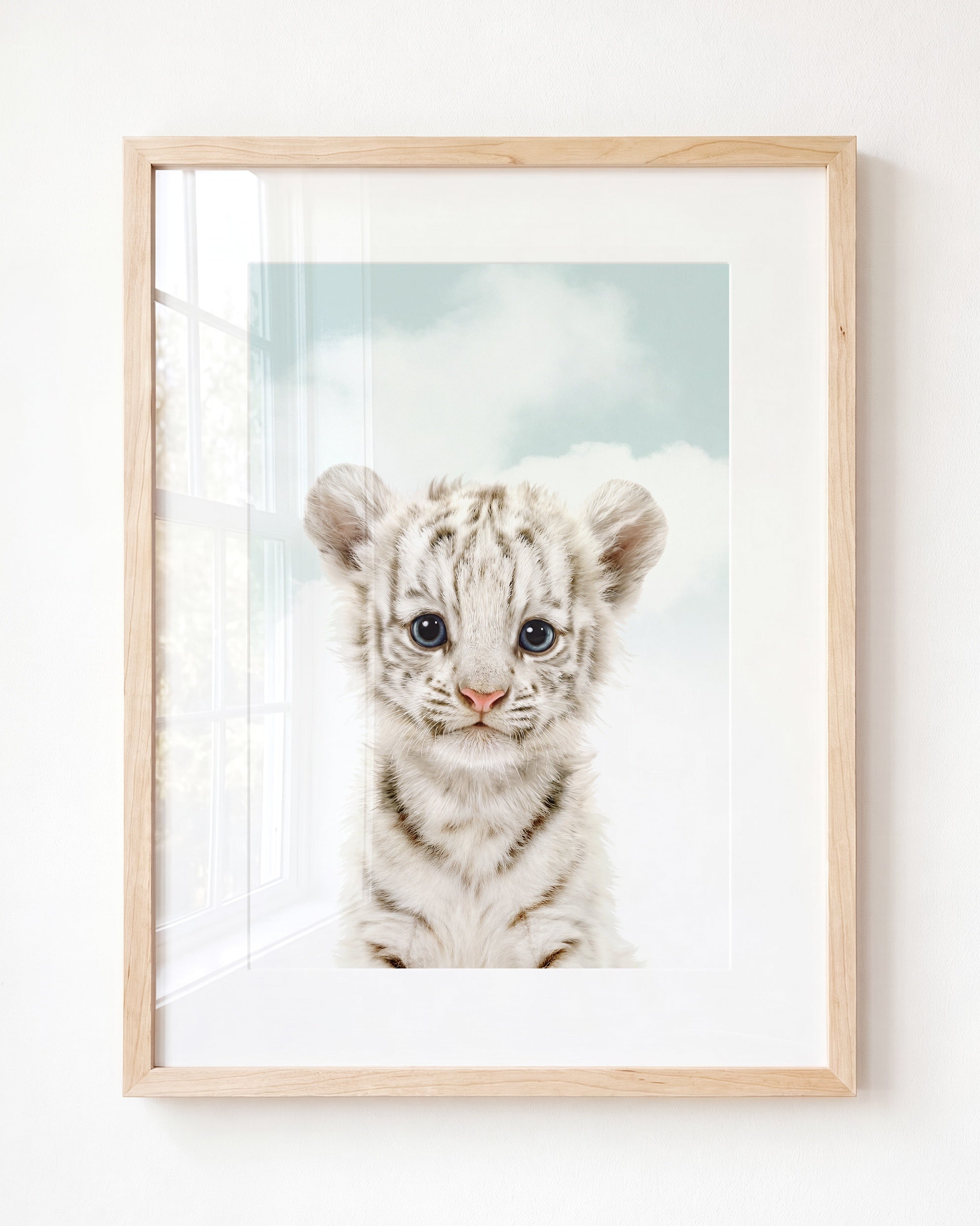 Baby White Tiger